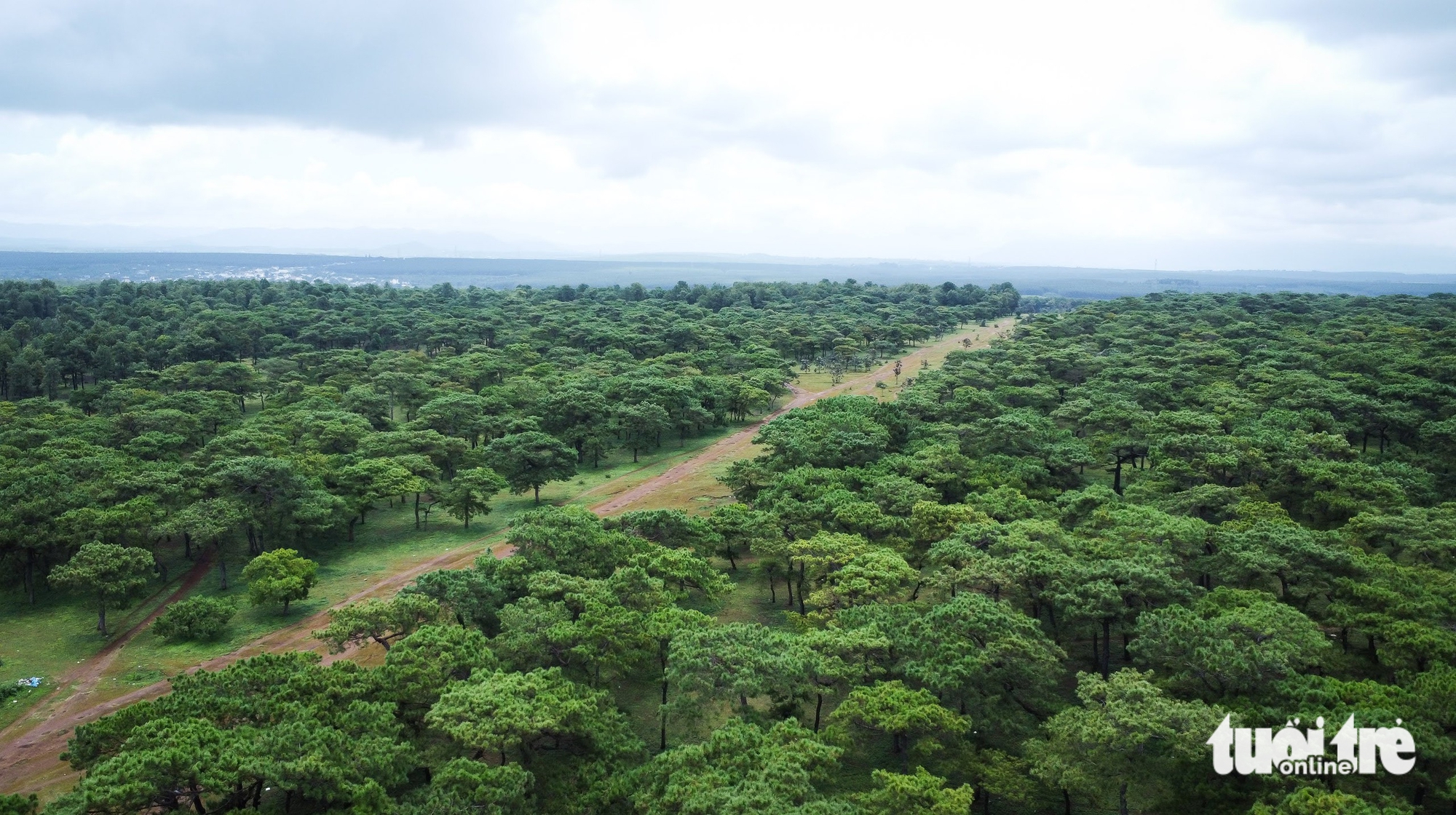 嘉莱省邀请投资者重新关注达克多高尔夫球场项目