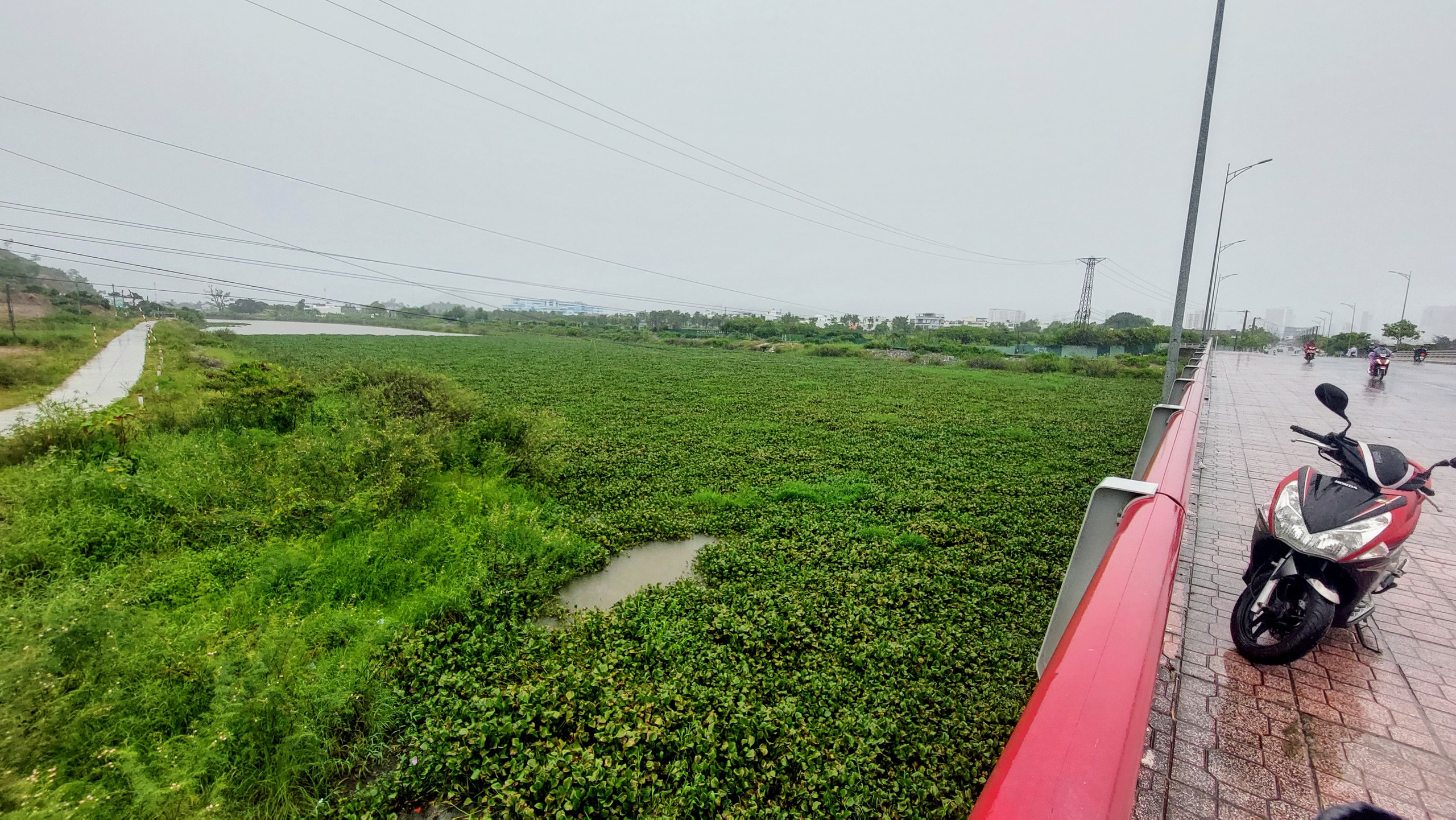 芽庄塔克河多项防洪项目，但塔克河正变成'浮萍河'