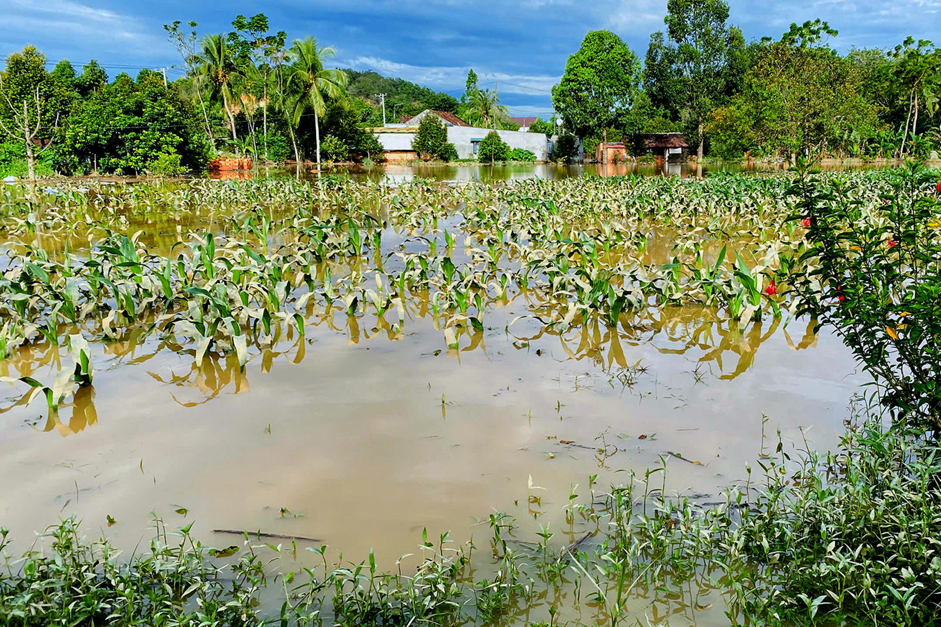 同奈省建议林同省配合提供各水电站泄洪信息