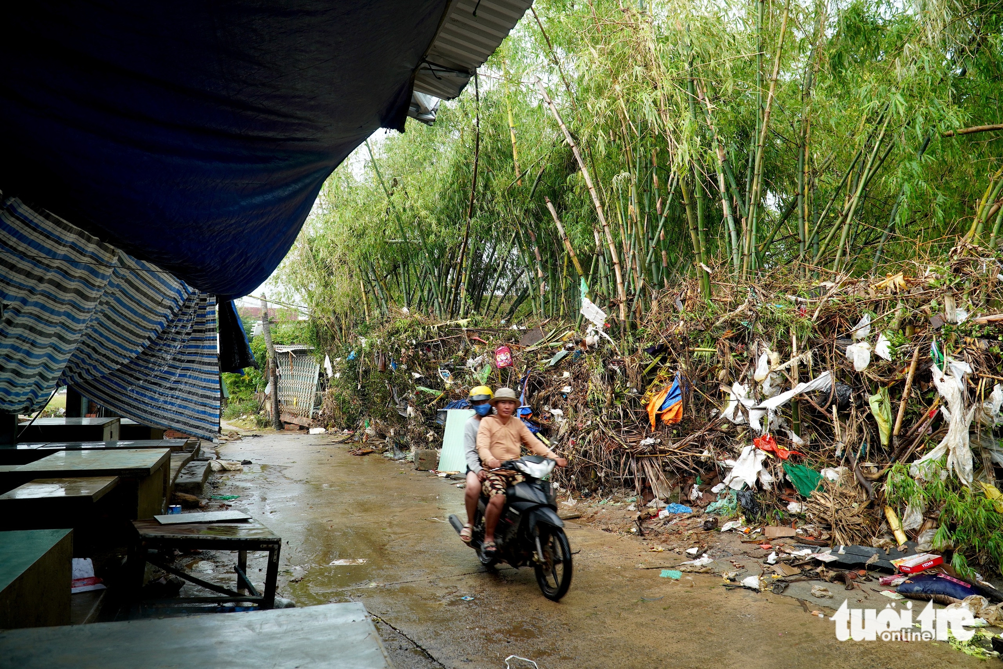 富安省旧区水退后房屋倒塌，道路出现“蛙嘴”裂缝