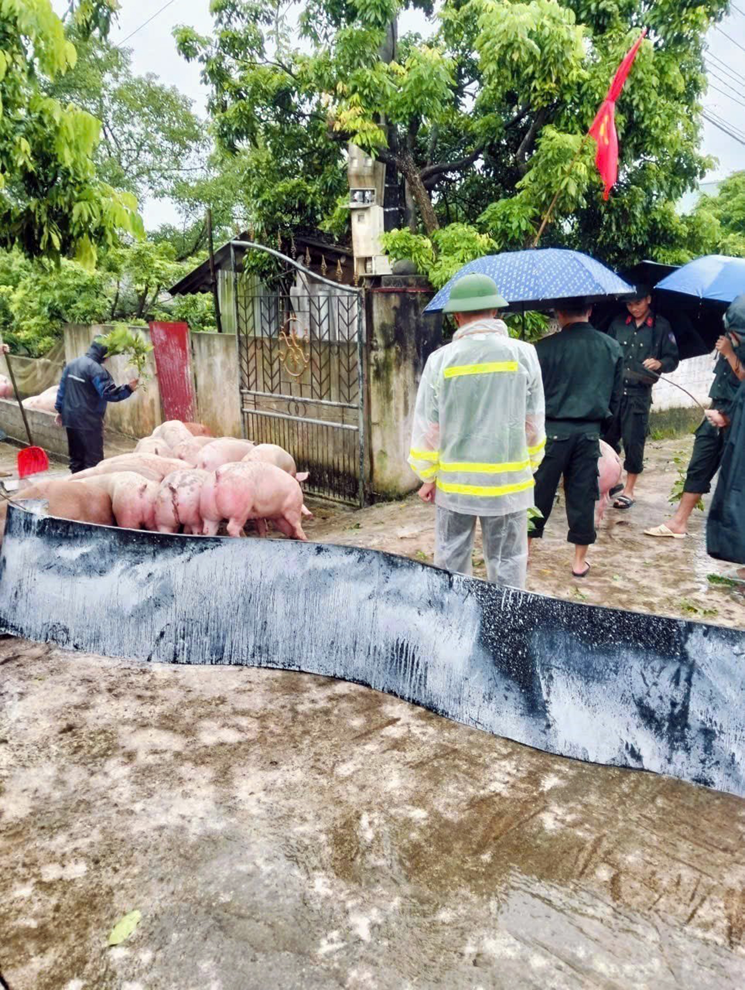 北部大雨：洪水来袭措手不及