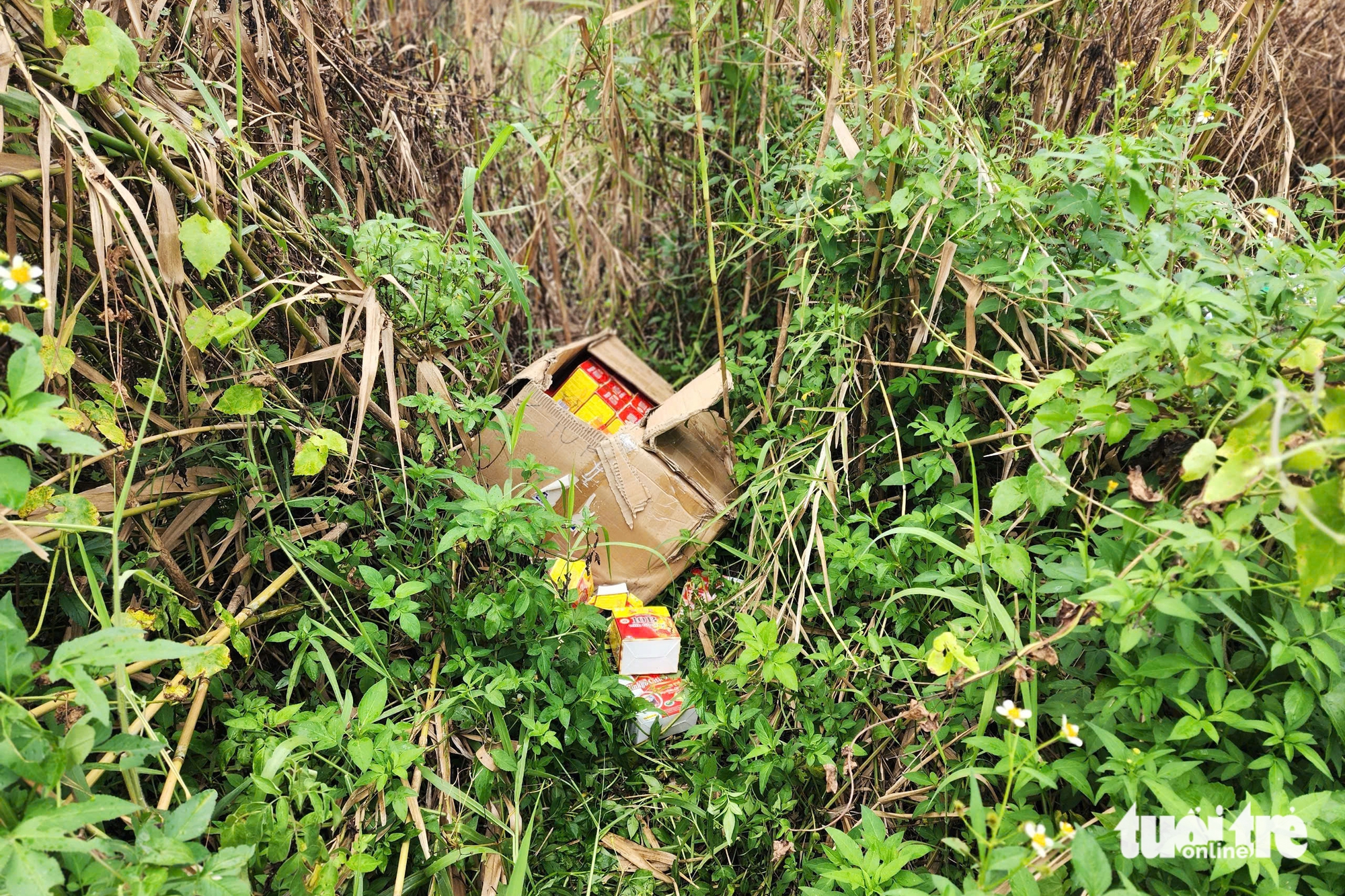 胡志明市发现数千盒功能性食品堆积如山近景