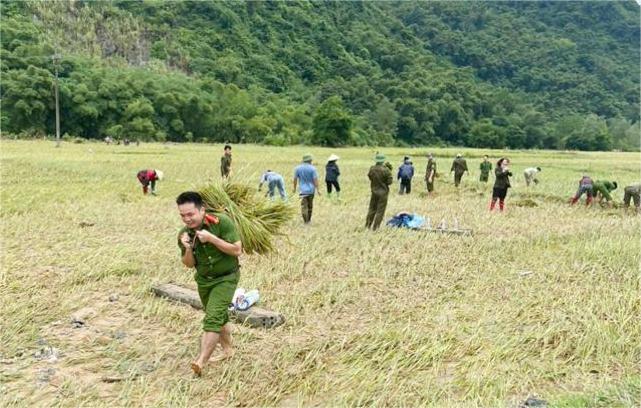 清化公安帮助民众收割水稻，支持民众躲避10号台风