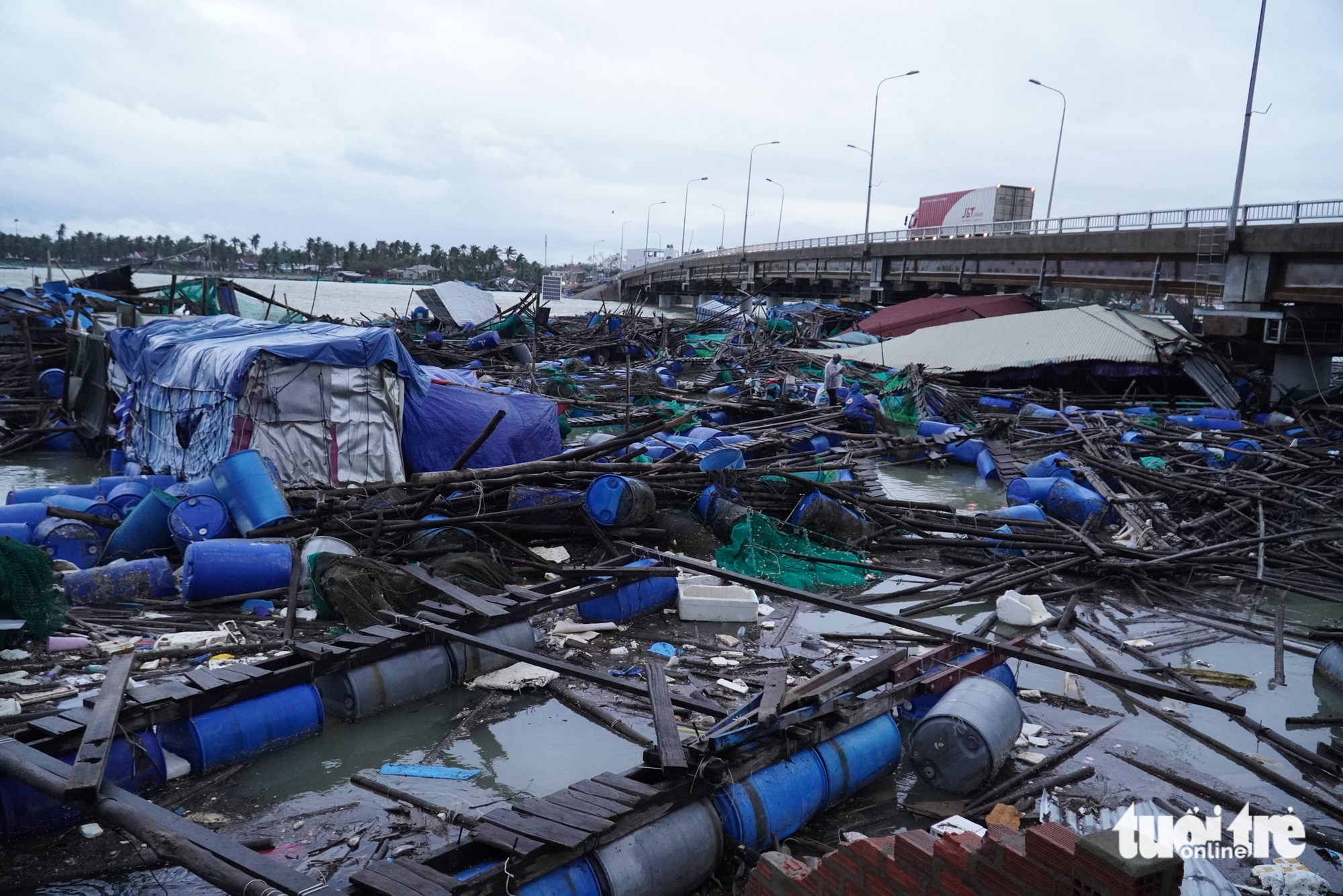 富安省桥下鱼排破碎近景