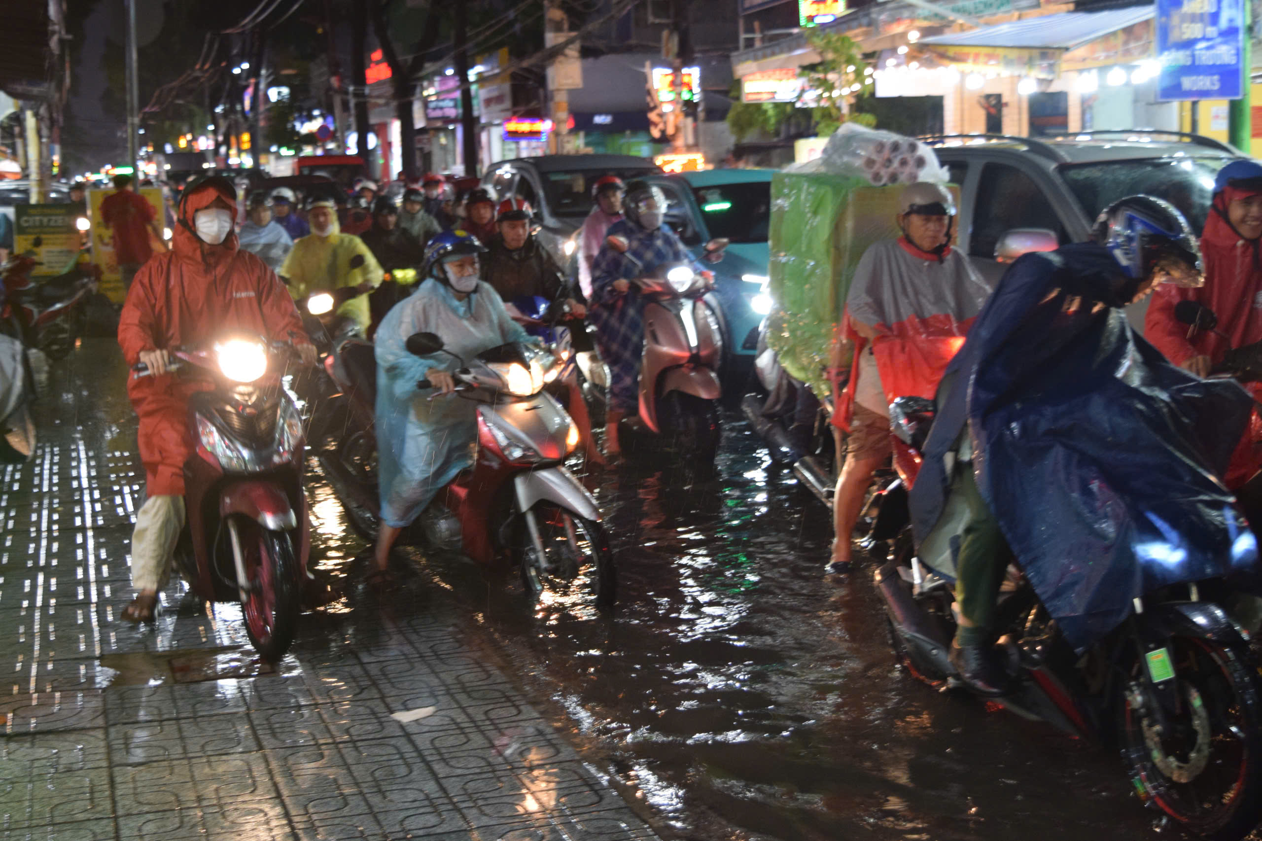 胡志明市下班高峰时段降雨超过160毫米，树木倒塌