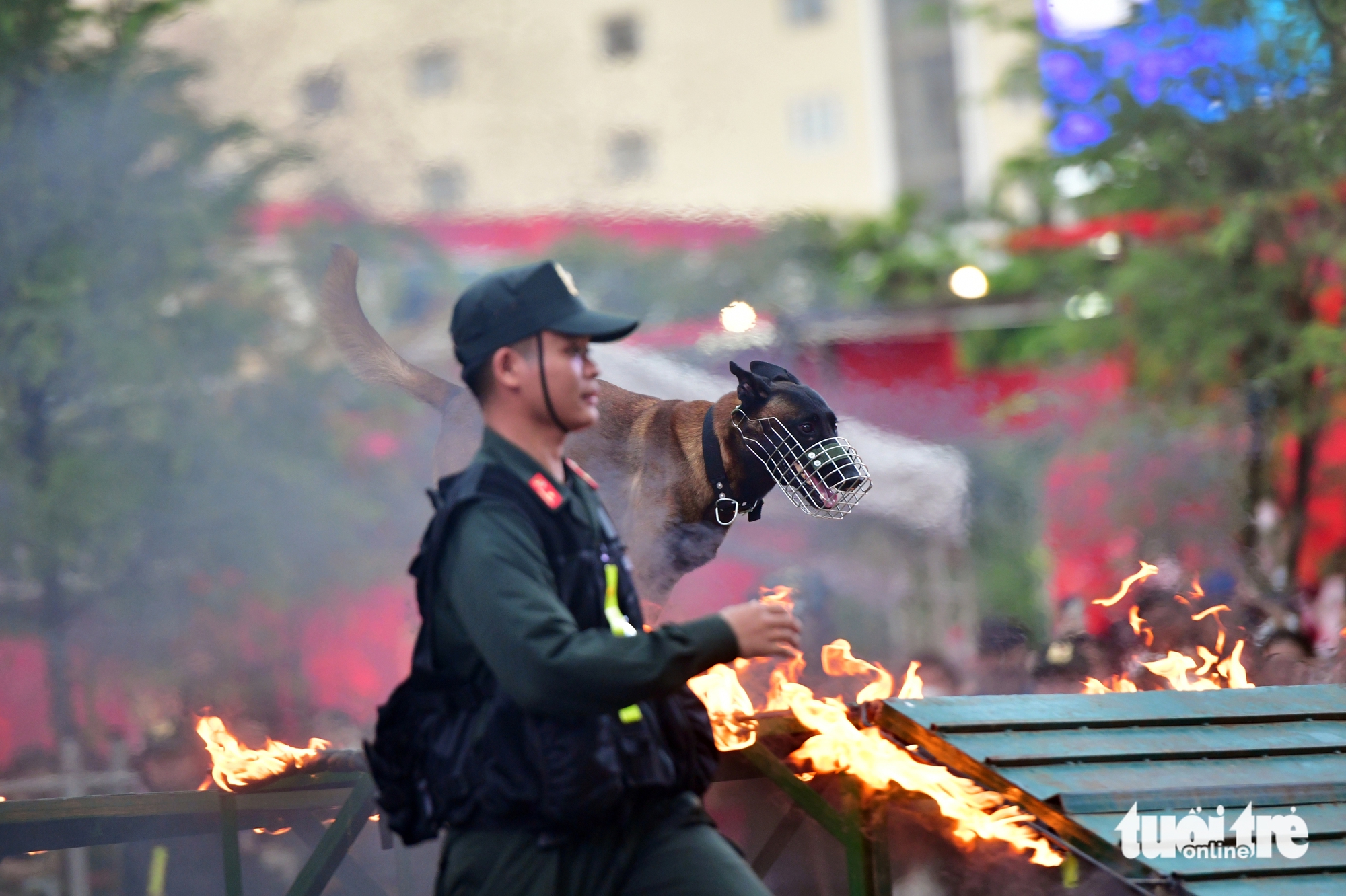 观看机动警察和警犬在黎利路的表演