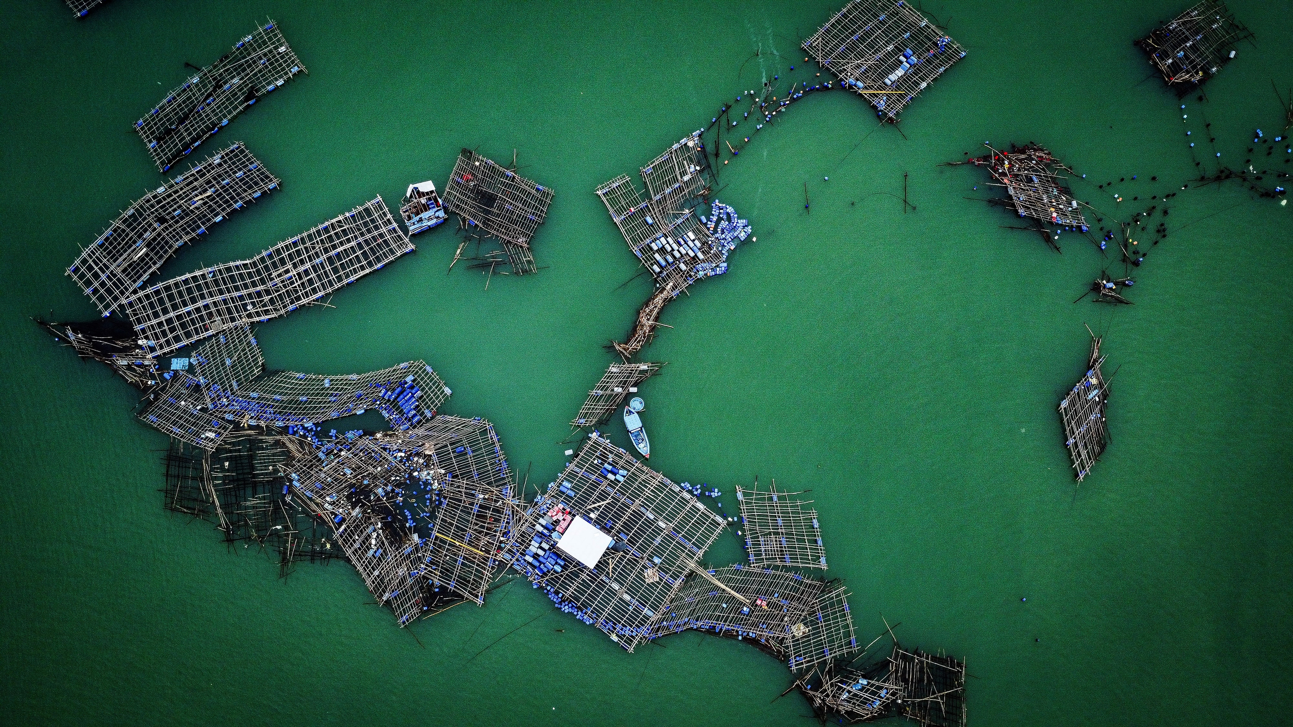 春岱湾龙虾之都'决心重建事业'在风暴洪水后