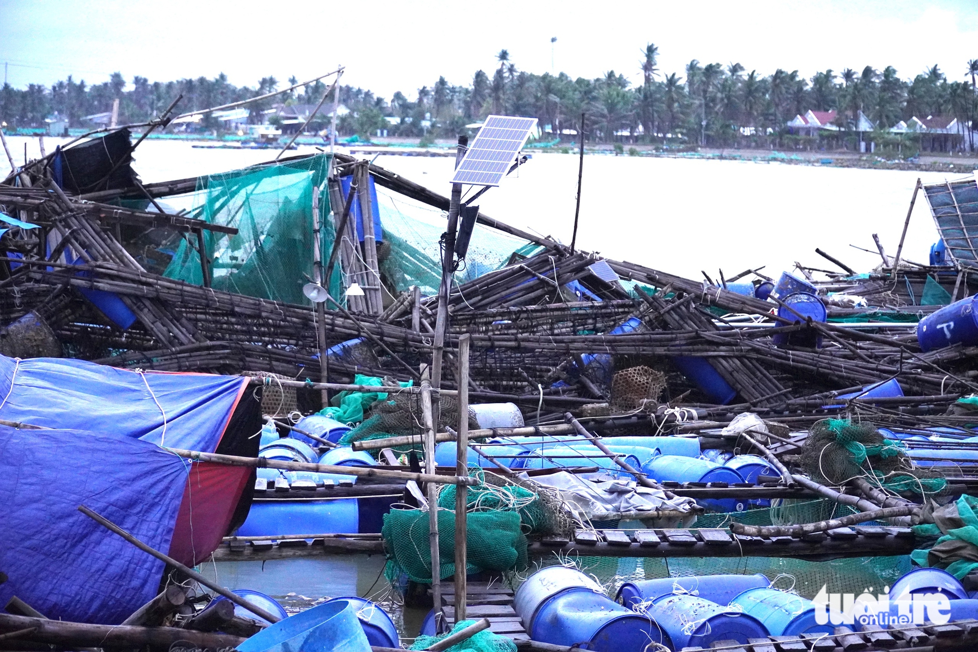 富安省桥下鱼排破碎近景