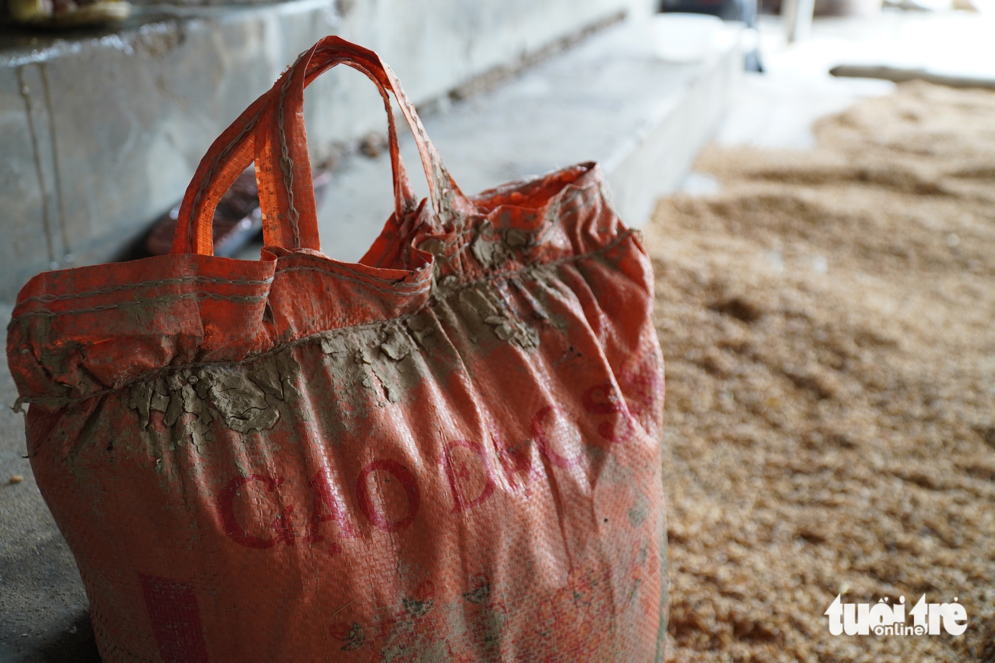 救援大米还没来得及吃就被洪水淤泥淹没，居民捡拾残留物