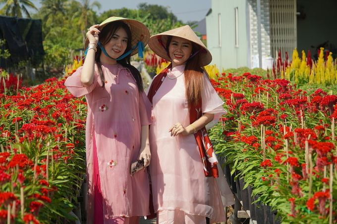同塔省稳居湄公河三角洲旅游前四名