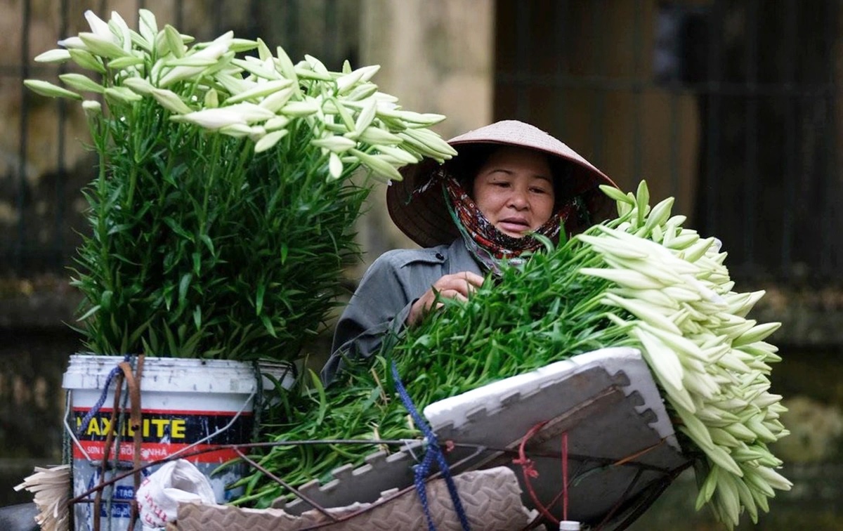 到2025年，越南16%的人口将是老年人，一人承担3-4种慢性病