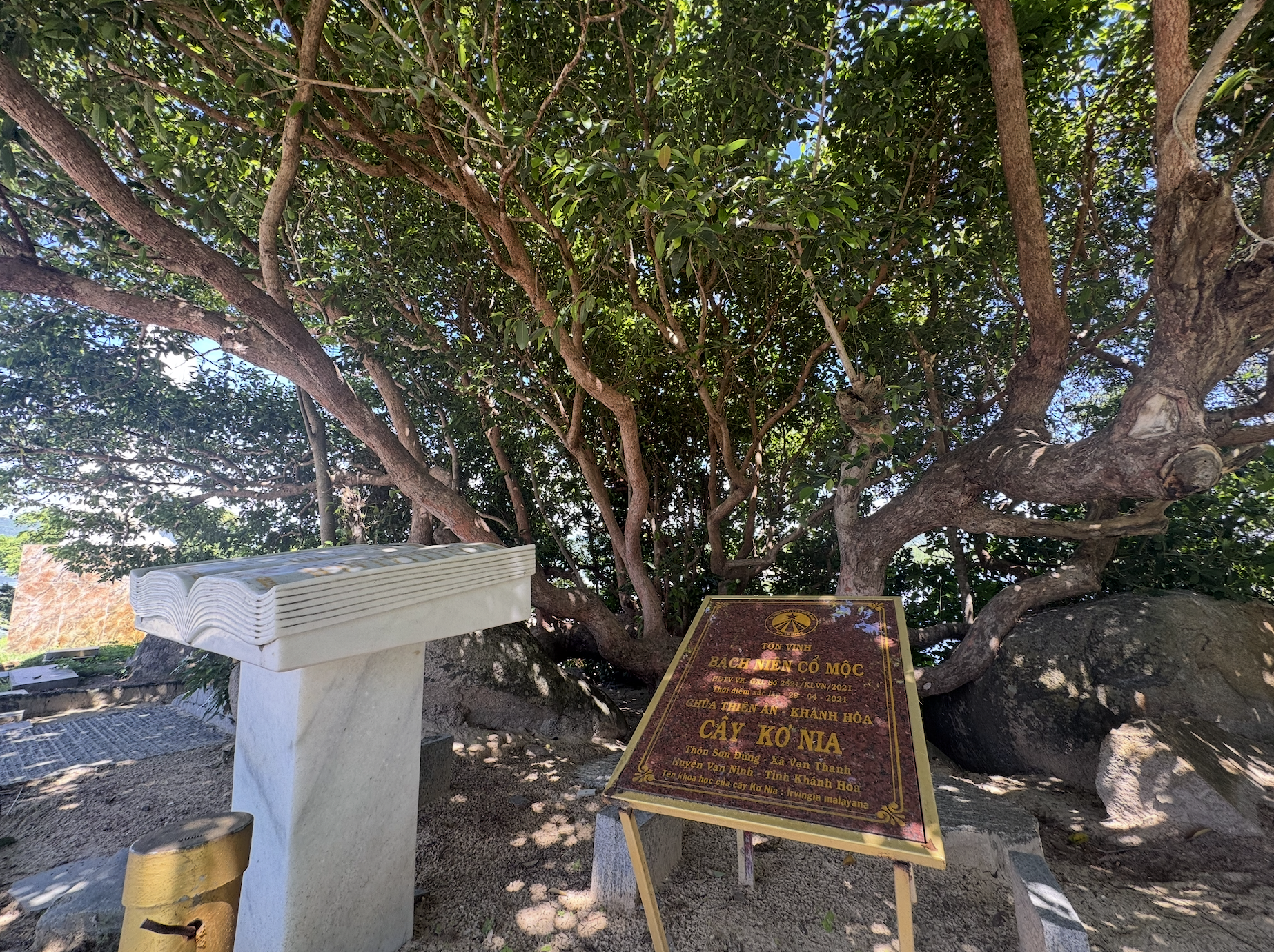 云峰湾最美丽的寺庙：四面环海，尽情打卡迎风