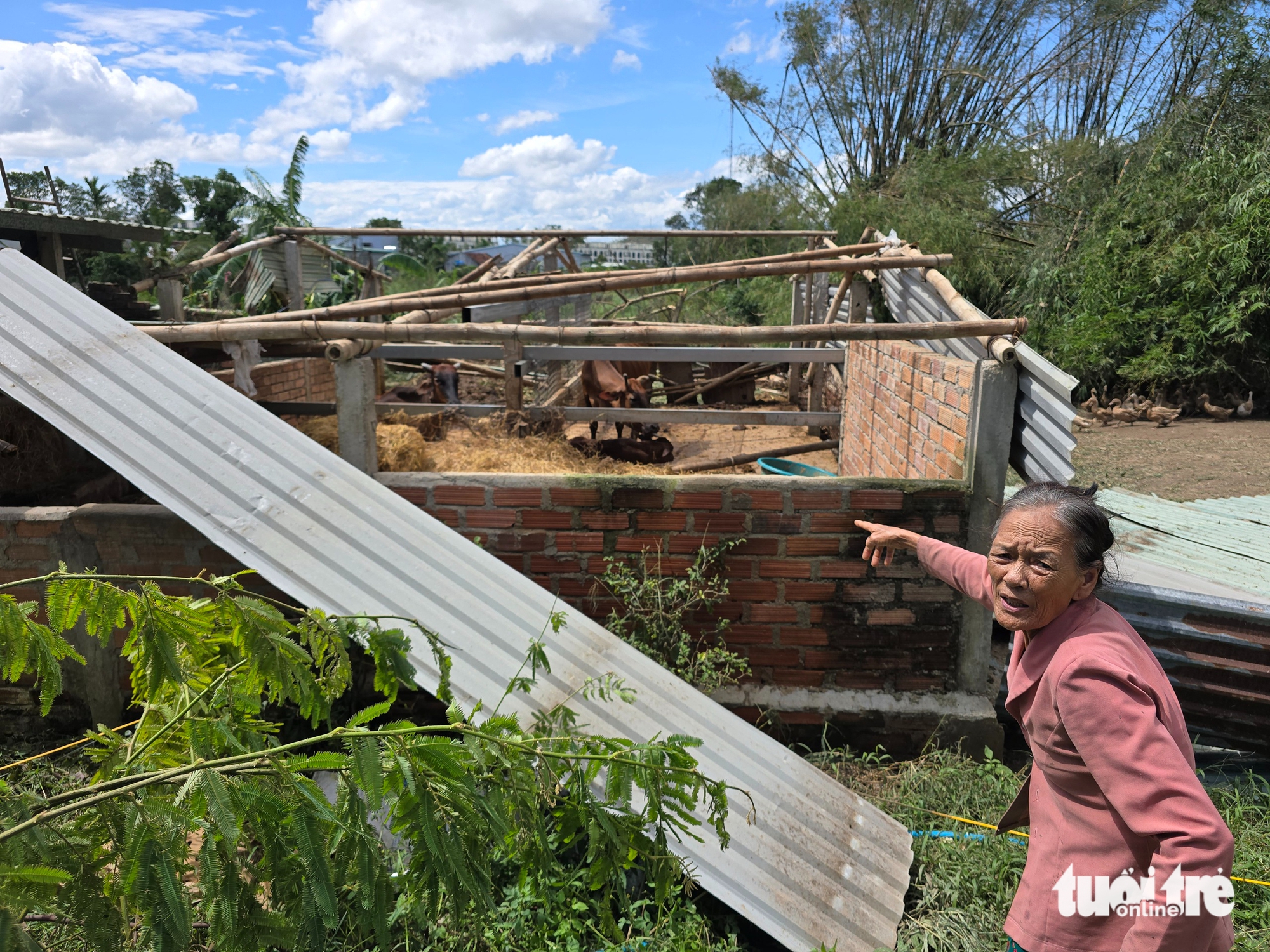 在卡马尔吉台风中失去屋顶的房屋