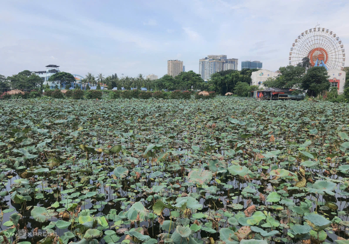 预计在9月2日前完成西湖补水工程