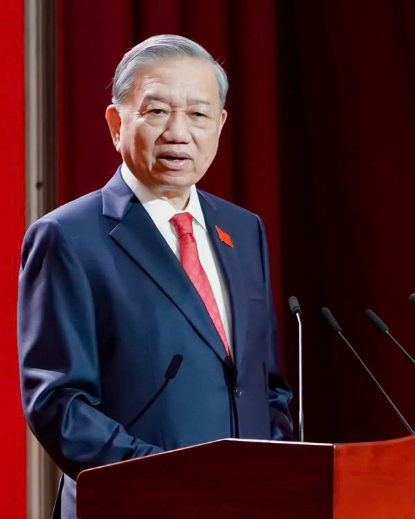 总书记：胡志明市需集中解决交通拥堵和淹水瓶颈问题