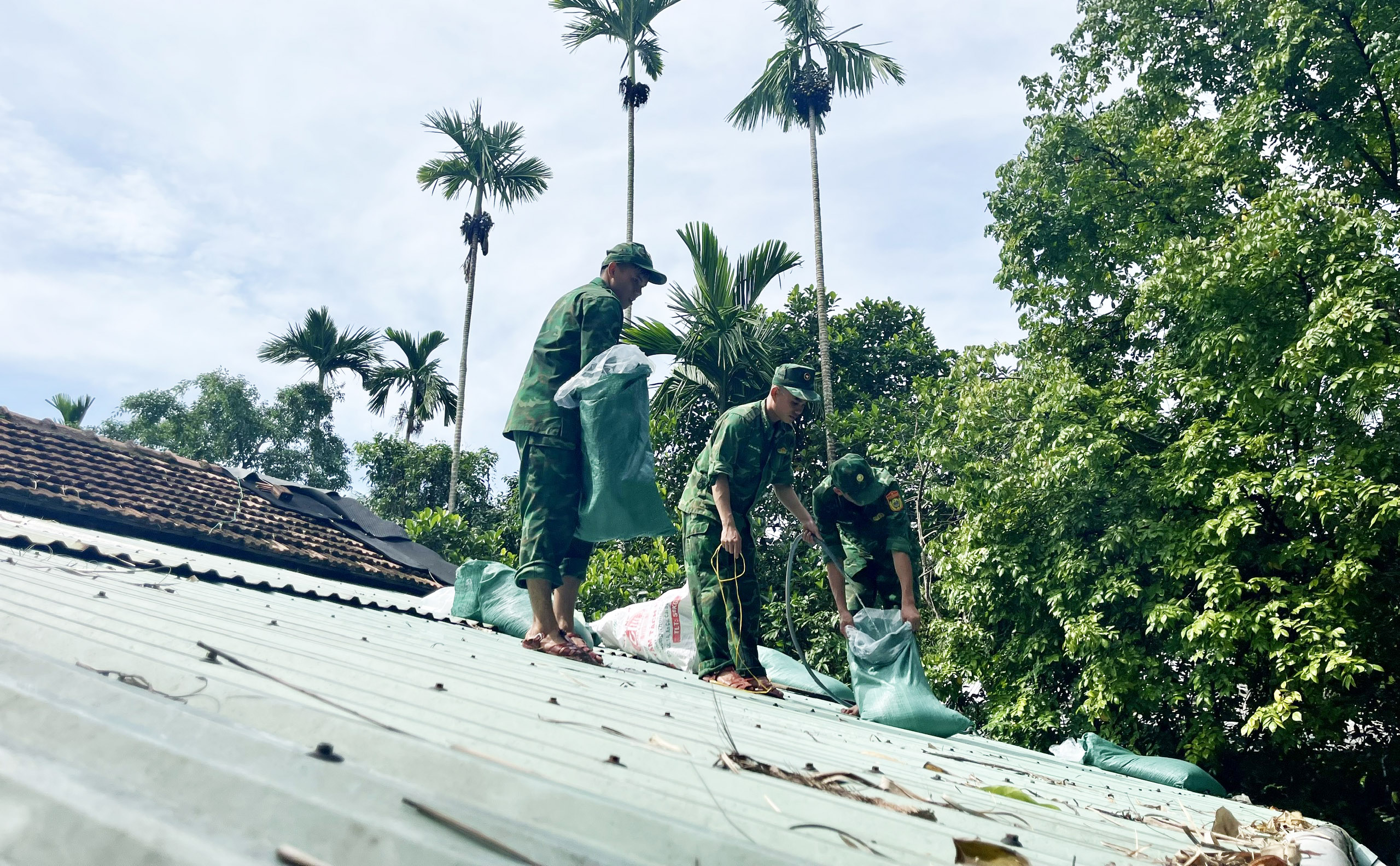 边防部队帮助民众收割水稻以躲避台风，加固房屋