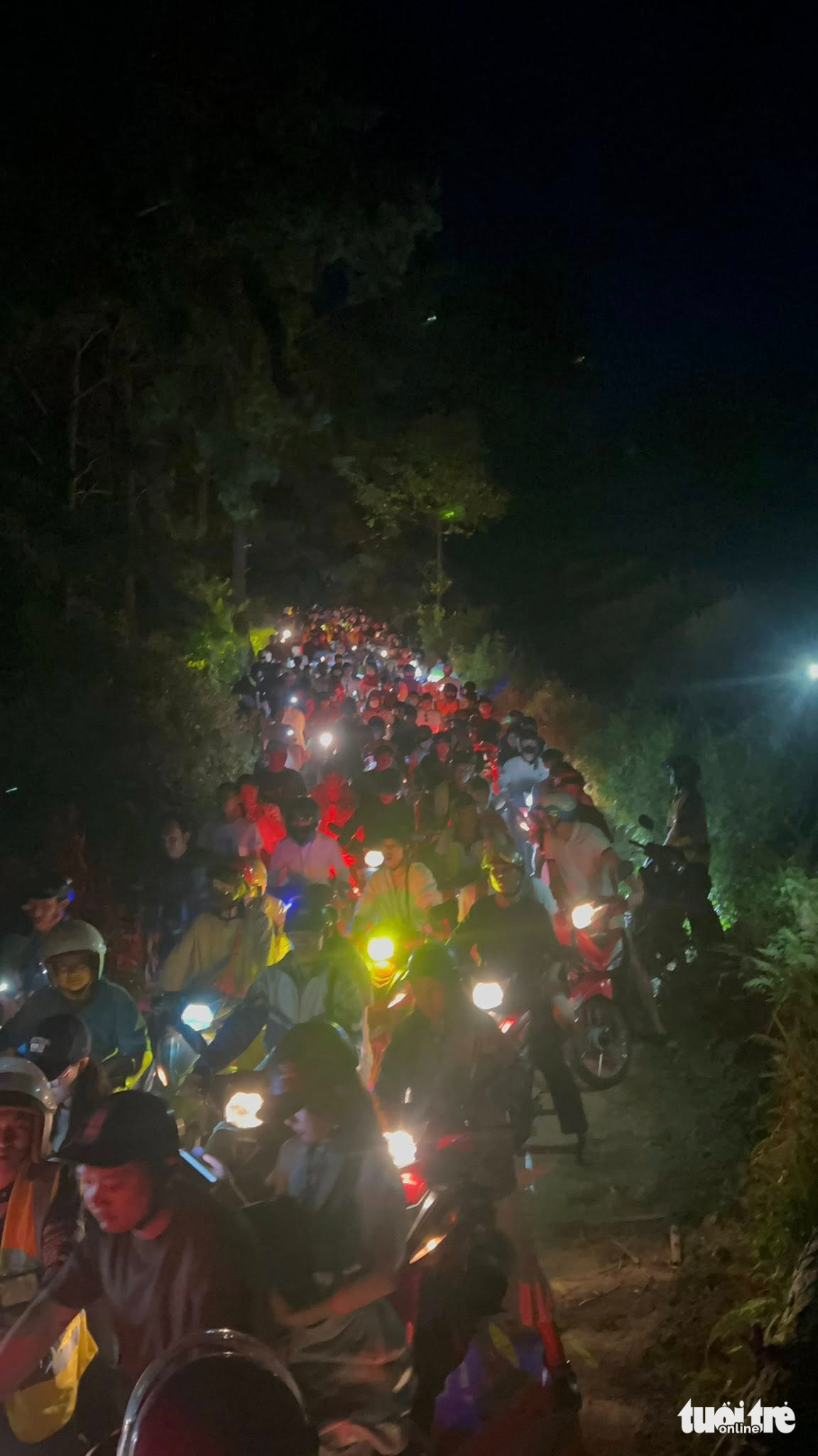 游客蜂拥而至，追逐木江寨的成熟稻谷，1公里路程耗时40分钟