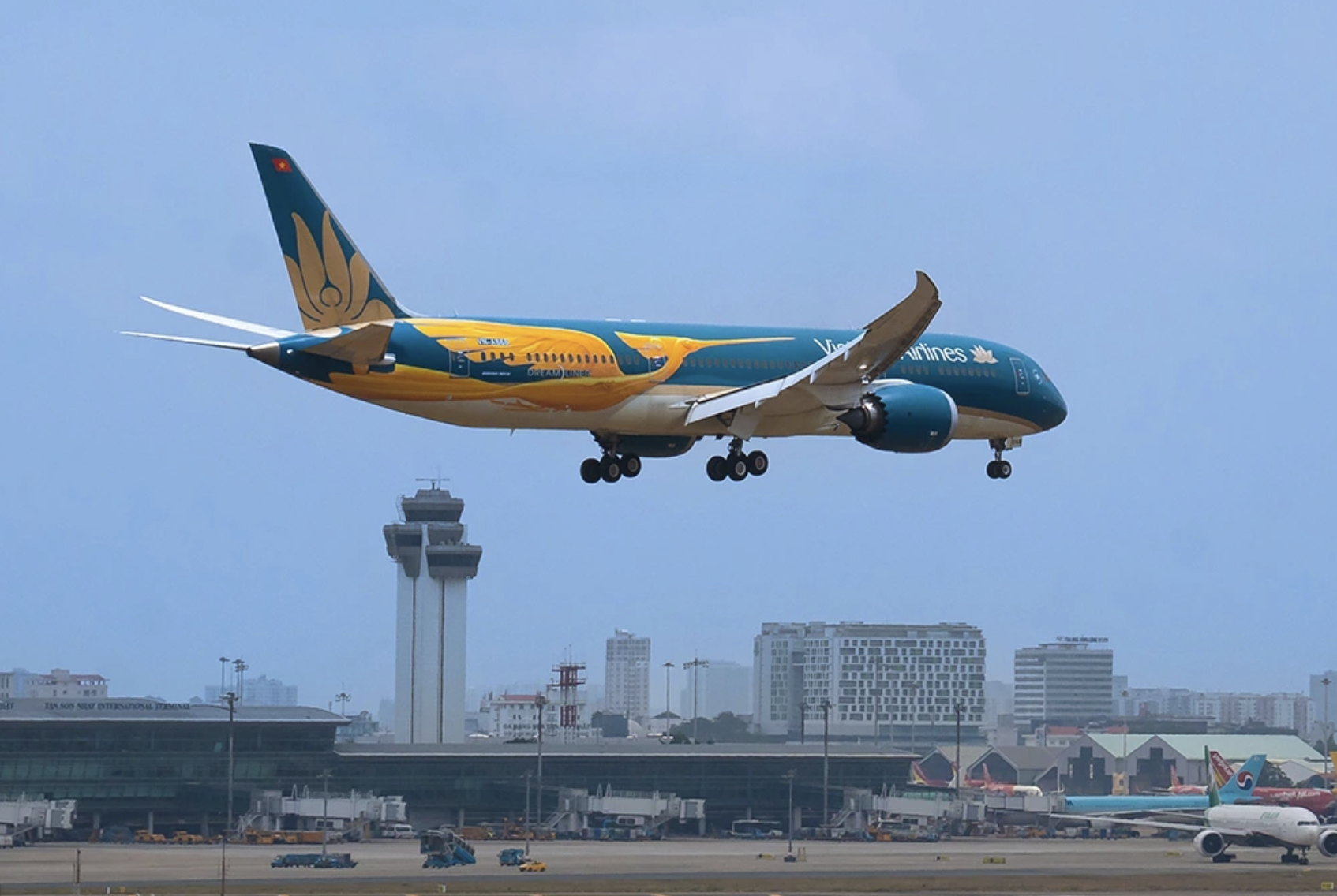 为什么越南游客去日本激增？