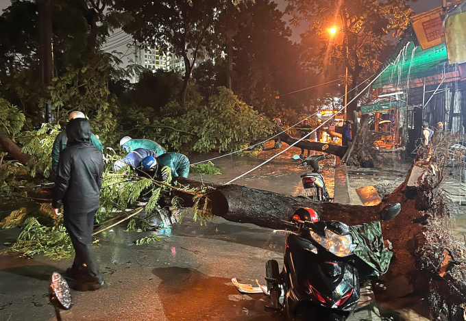 胡志明市树木连根拔起压伤祖孙二人