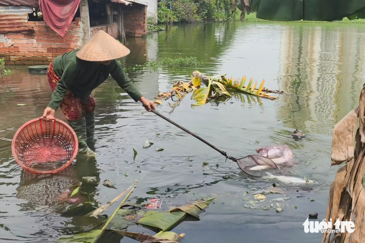 为胡志明市永禄乡居民区调动水泵防洪