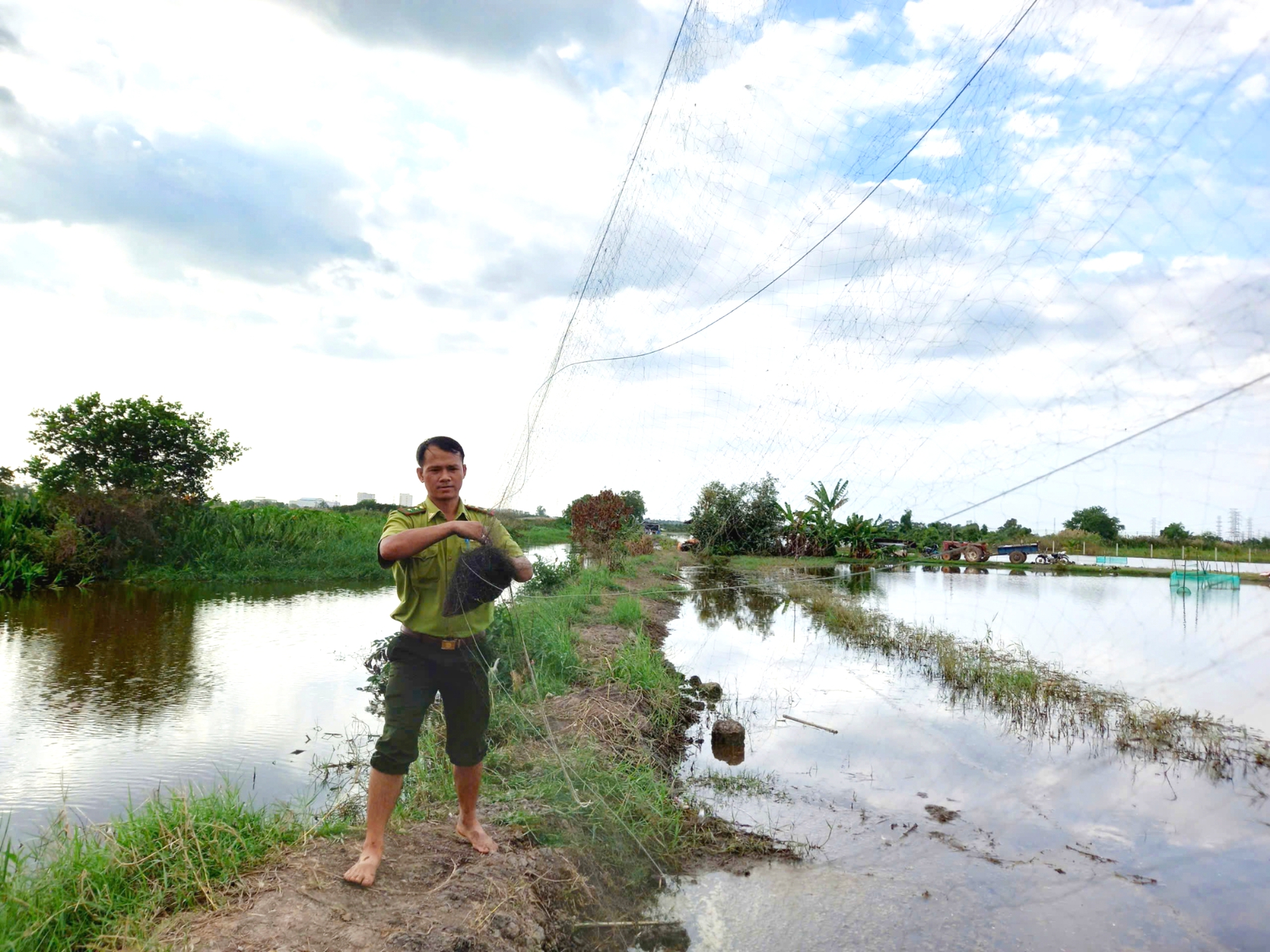 胡志明市林业局在古芝县新海坊义城乡拆除650米捕鸟网