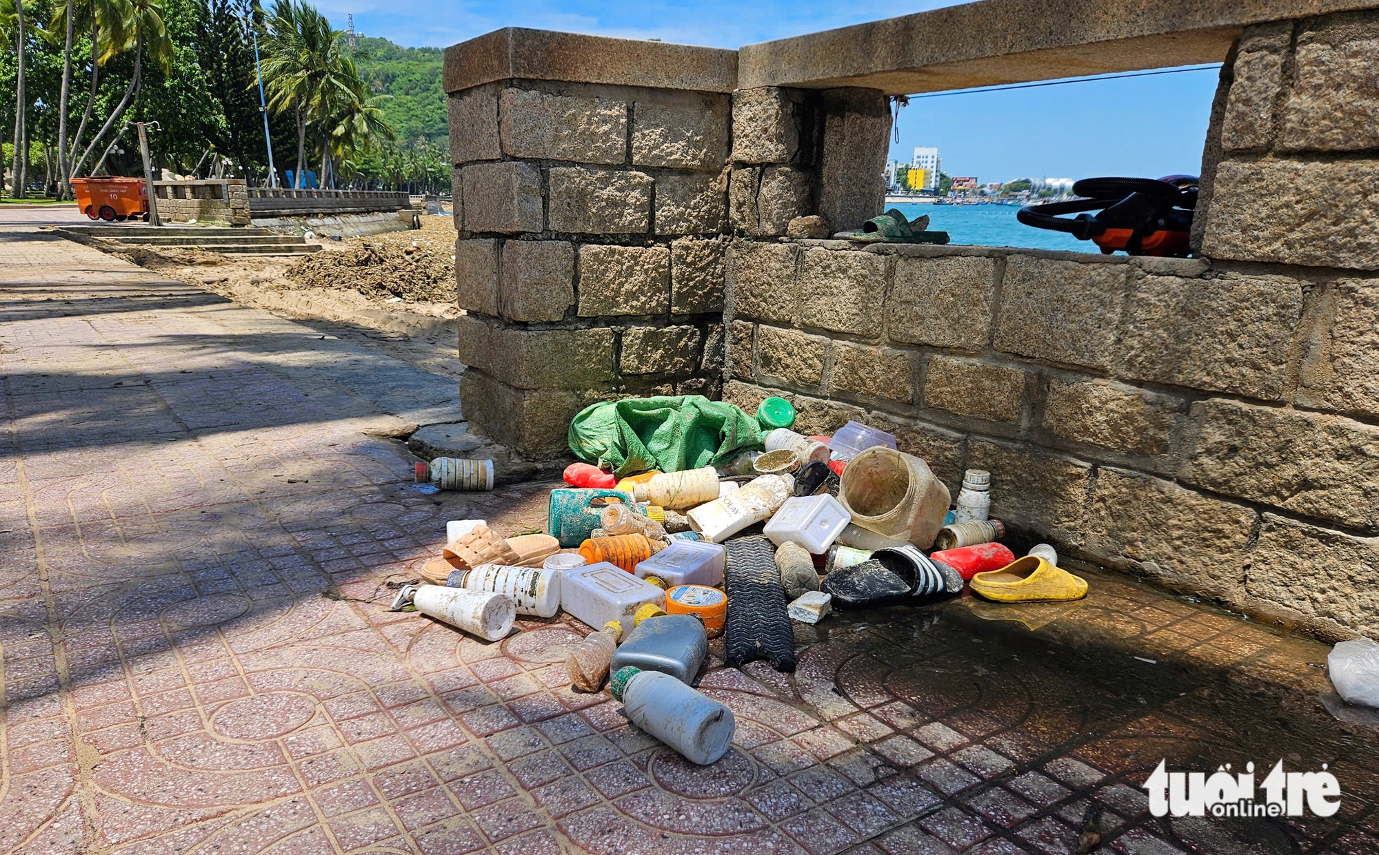 层层塑料垃圾随水葫芦漂入头顿海滩