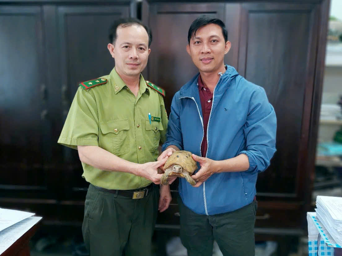 迷路的金龟被锻炼的市民捕获并交给林业部门