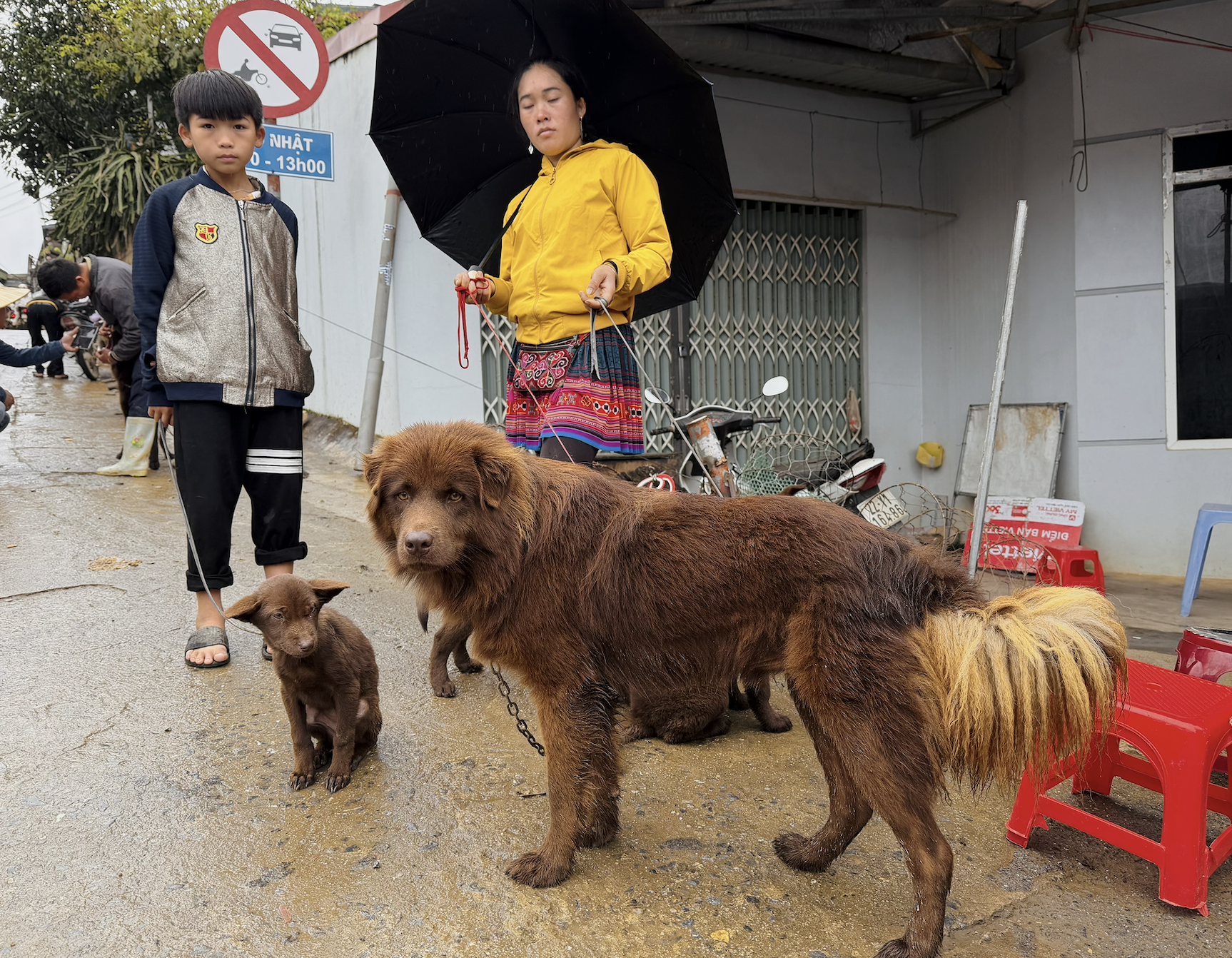 北河狗市在寒冷雨中热闹非凡