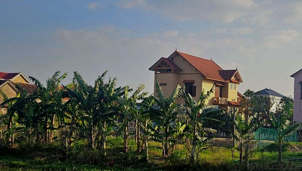 原街道党委书记家庭以每年仅50万越南盾租用1500平方米公共土地