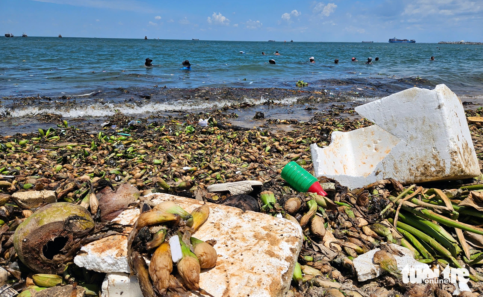 层层塑料垃圾随水葫芦漂入头顿海滩