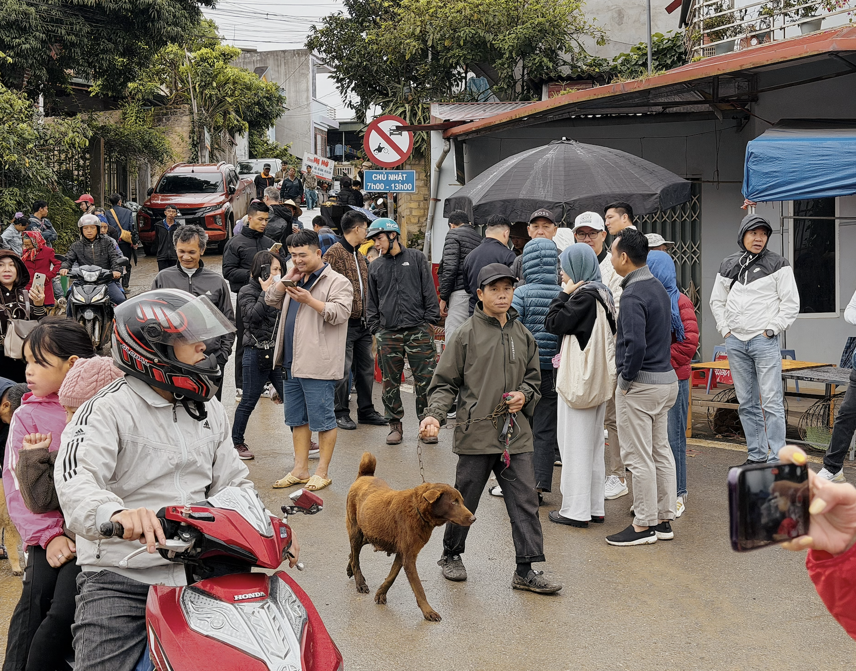 北河狗市在寒冷雨中热闹非凡