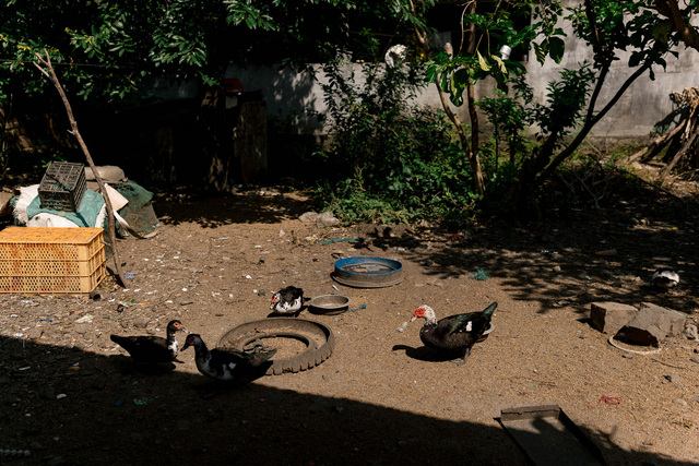 洪水中心'残缺'的房屋