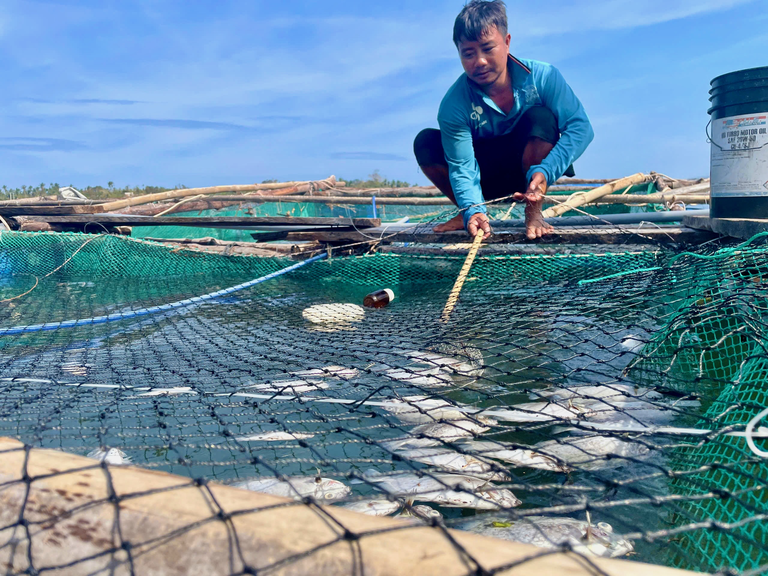 昆蒙湖养鱼者因台风后鱼全部死亡而痛哭
