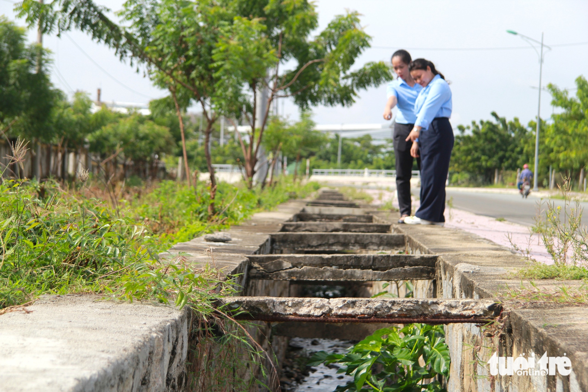 庆和省南部工业园区基础设施老化，存在违规排放风险
