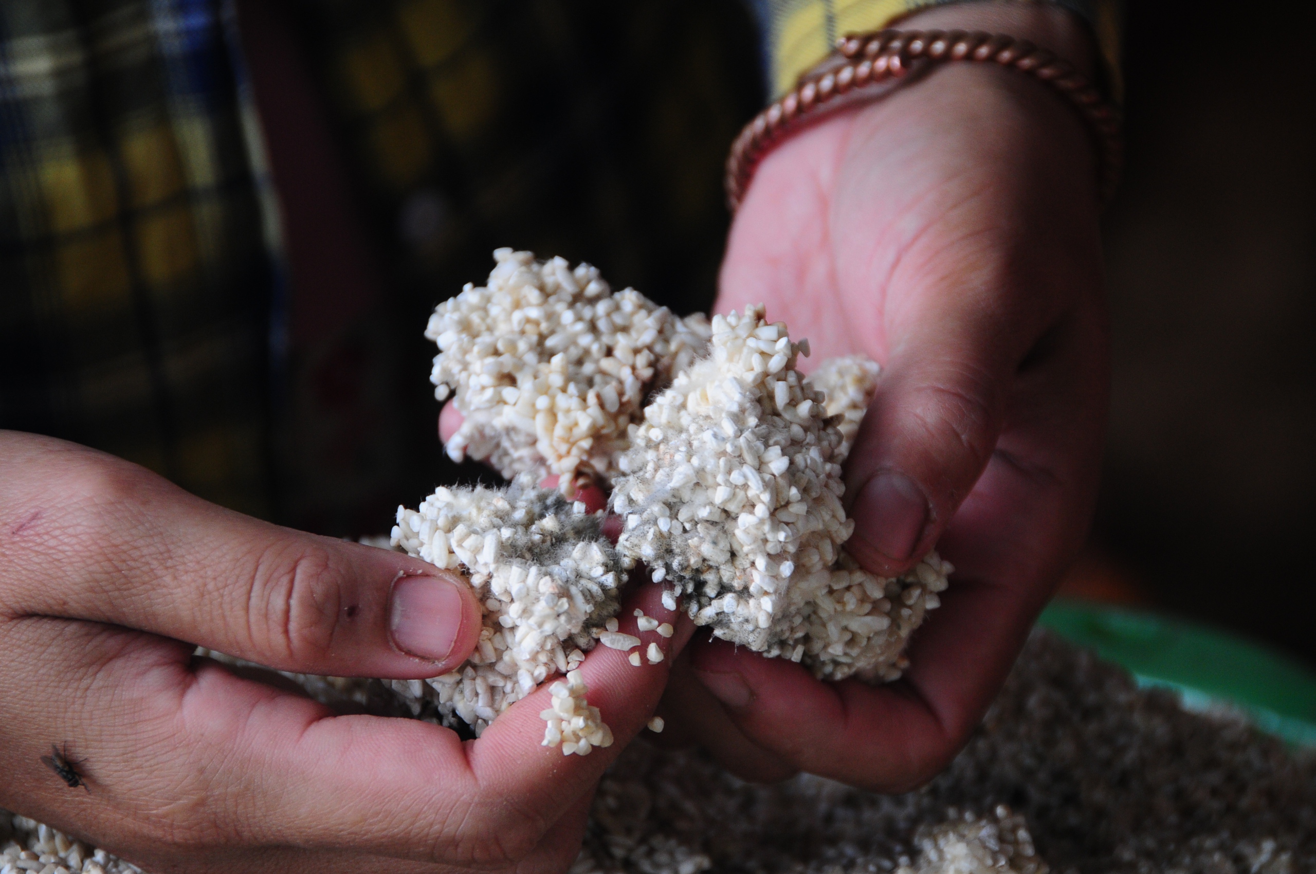 基罗河沿岸居民排长队领取救援物资