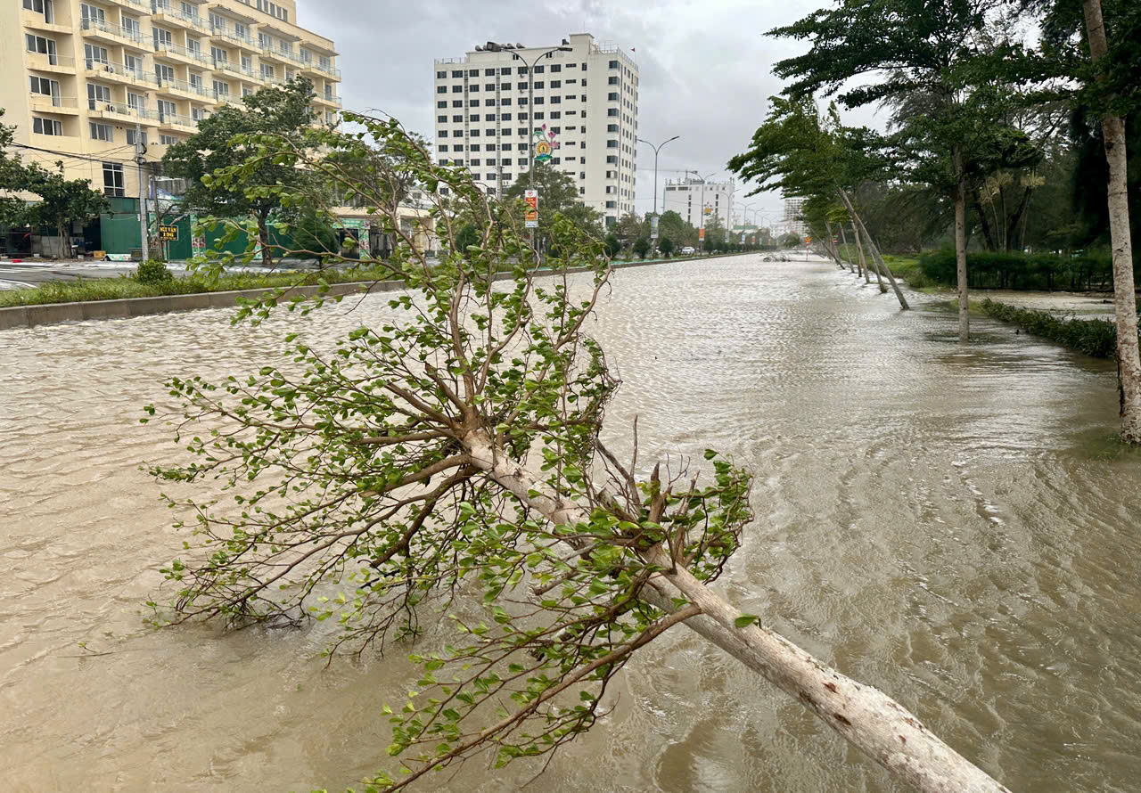 台风Bualoi：1人死亡，4人失踪，28,000人疏散避风