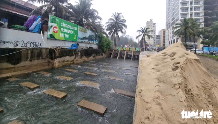岘港海滩污水溢出和恶臭：严惩故意排放行为