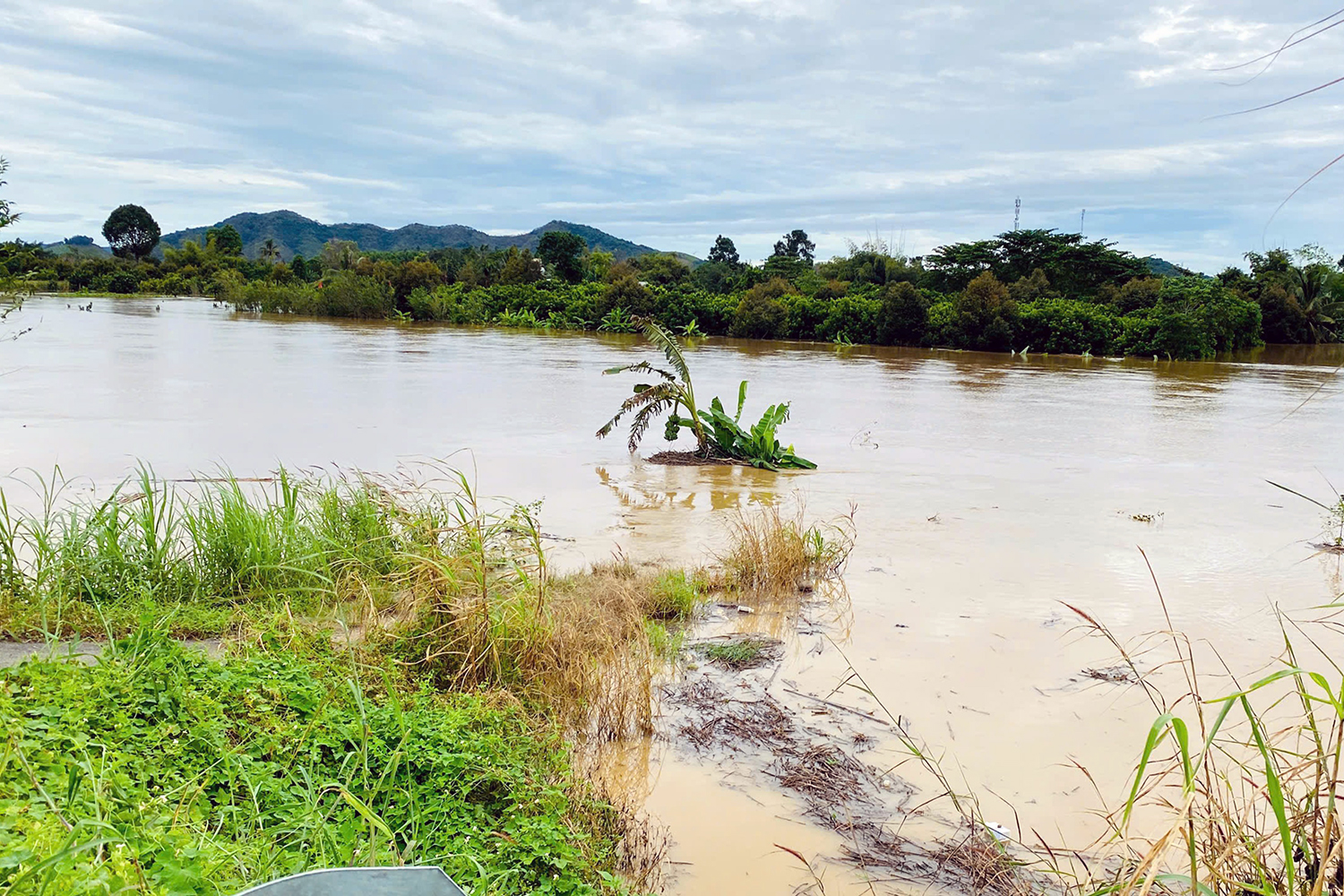 同奈5号水电站泄洪，下游数百户家庭遭受洪水淹没