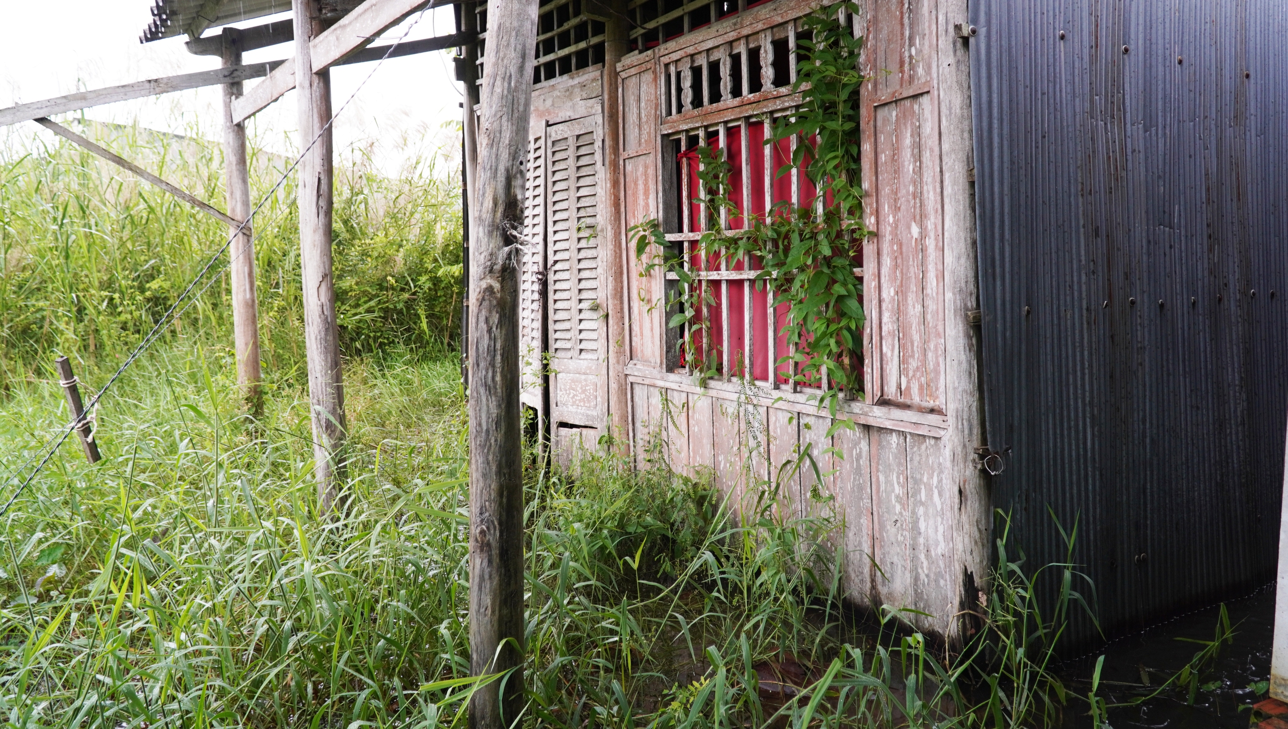 金瓯省投入近580万亿越南盾为超过11,000户弱势家庭提供'鱼竿'支持