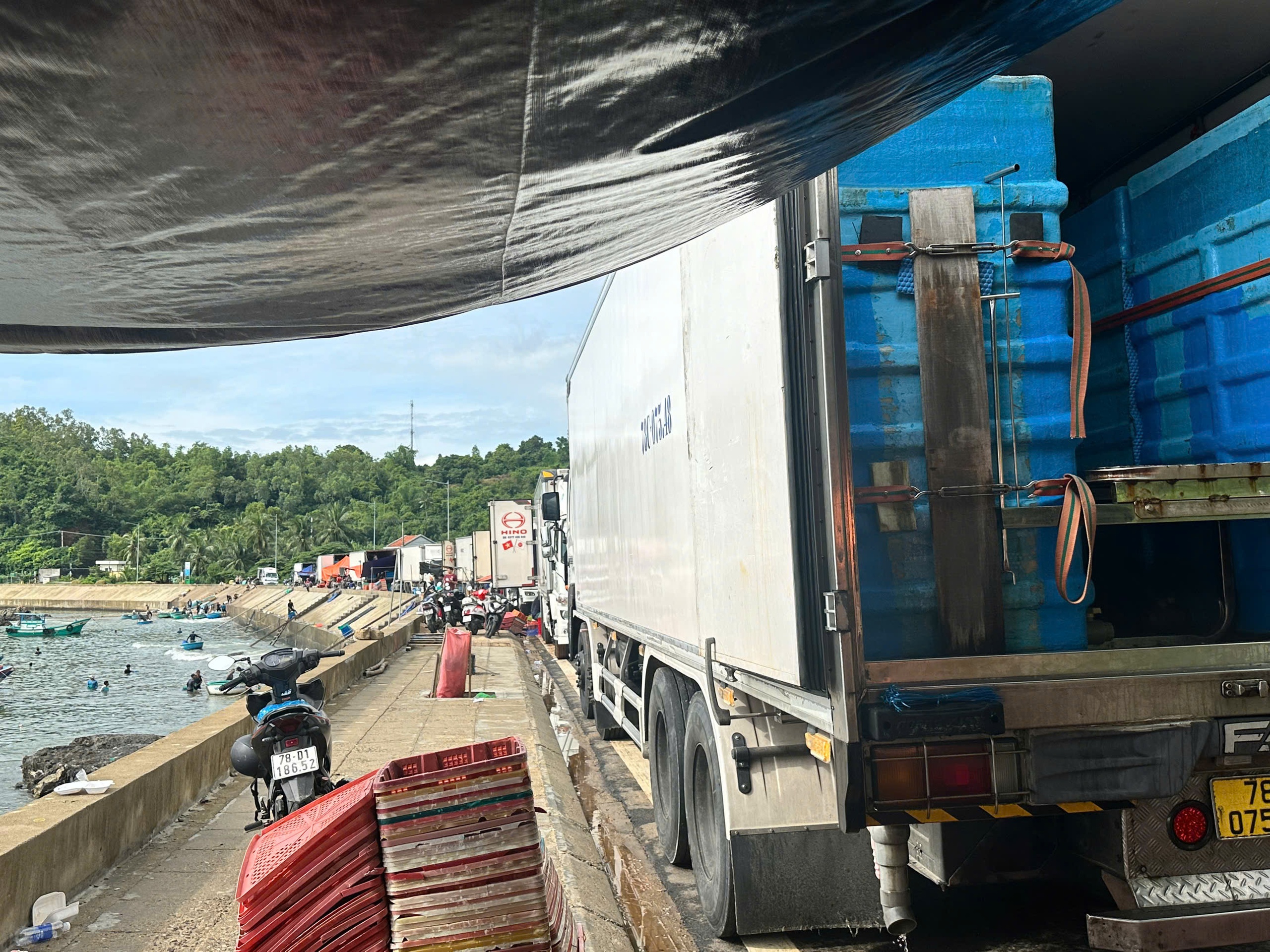 民众抢售龙虾以躲避第13号台风