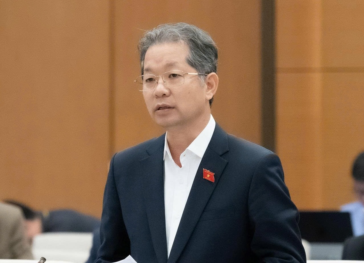 国家主席可任命律师、外国人为专门法院法官