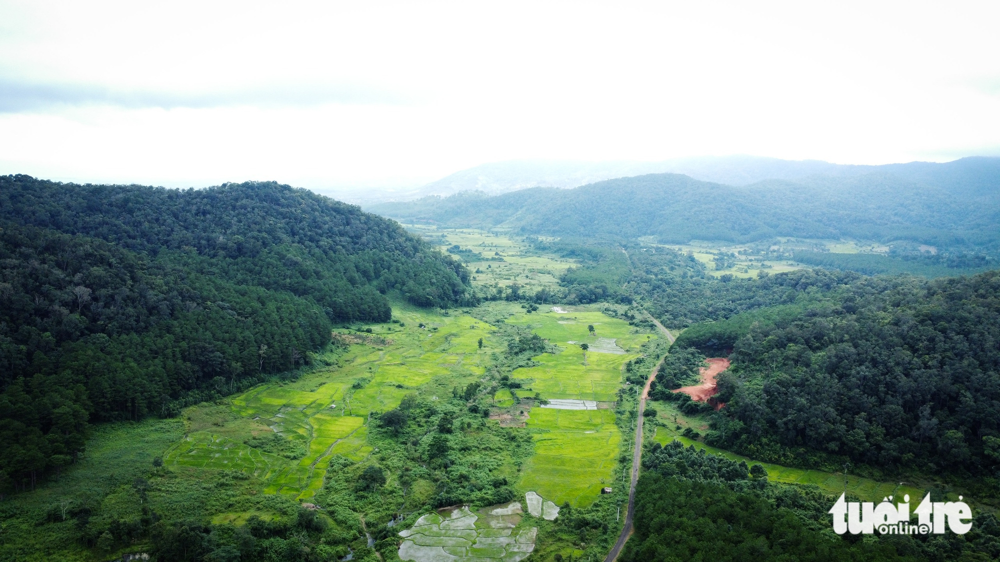 唤醒昆卡京，带游客到'金山'