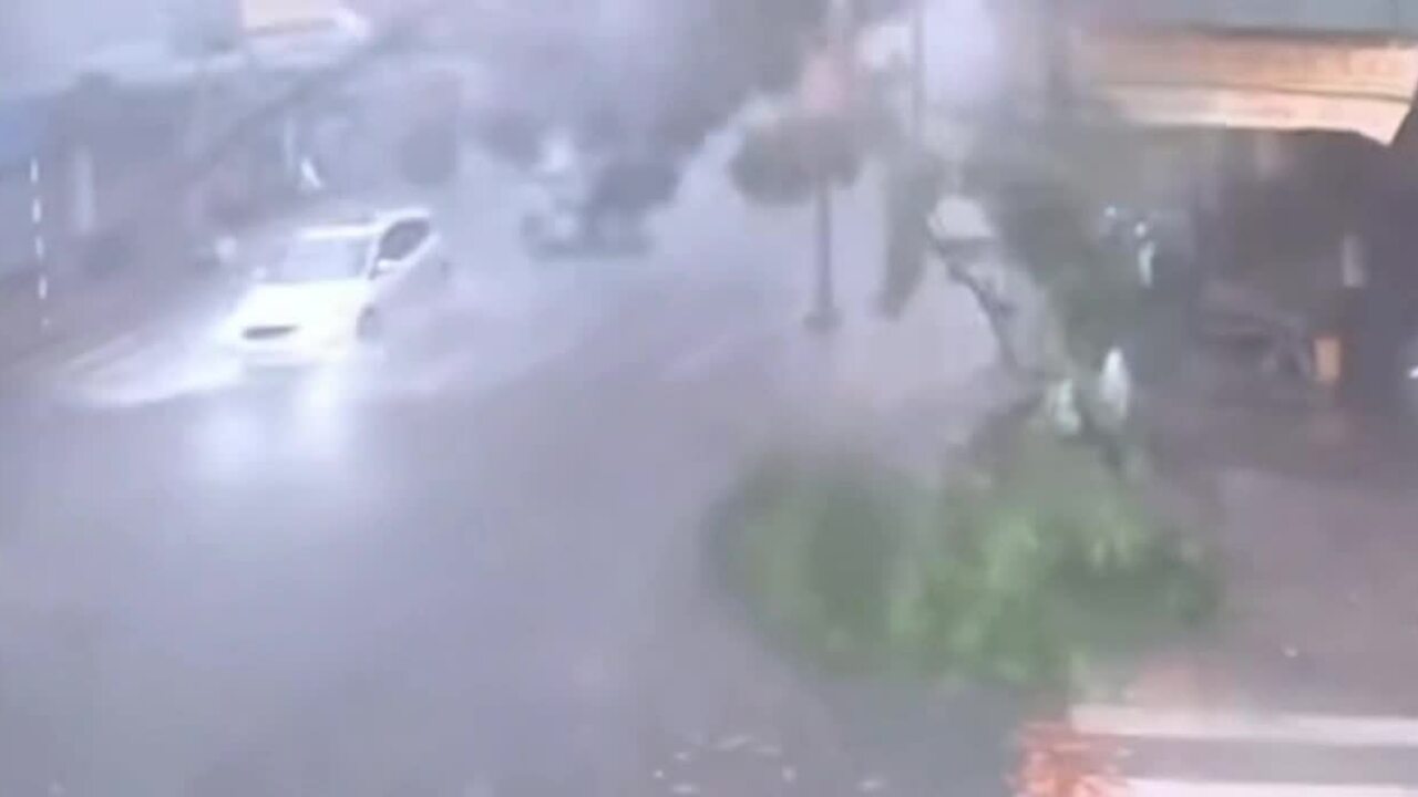 胡志明市暴风雨中大量树木倒塌