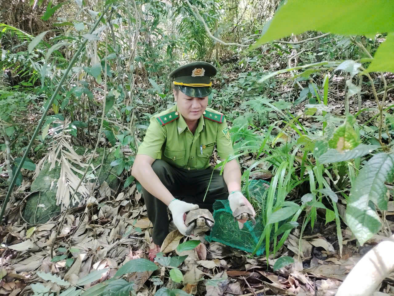 白马国家公园被认定为东盟遗产公园