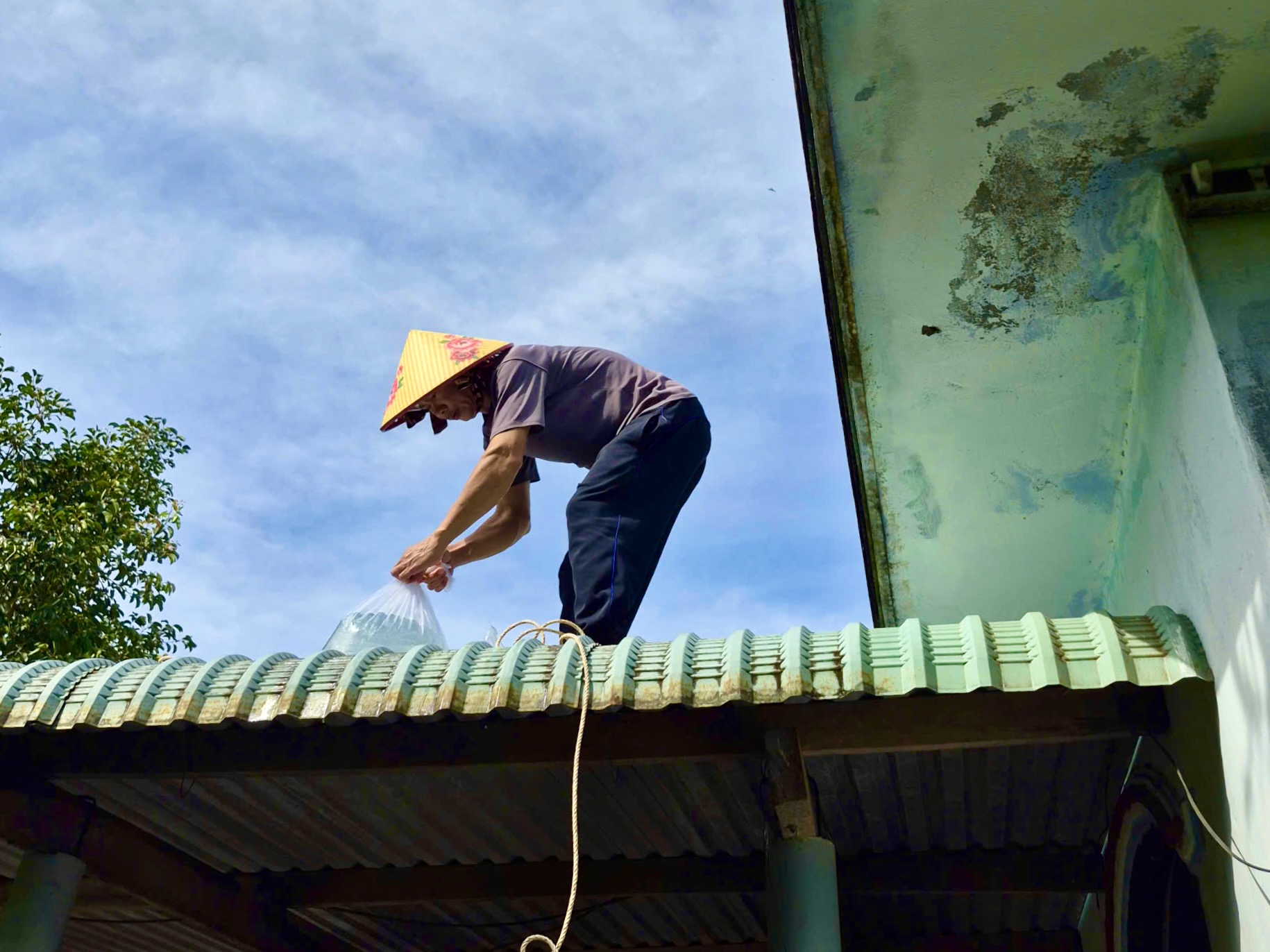 民众抢售龙虾以躲避第13号台风