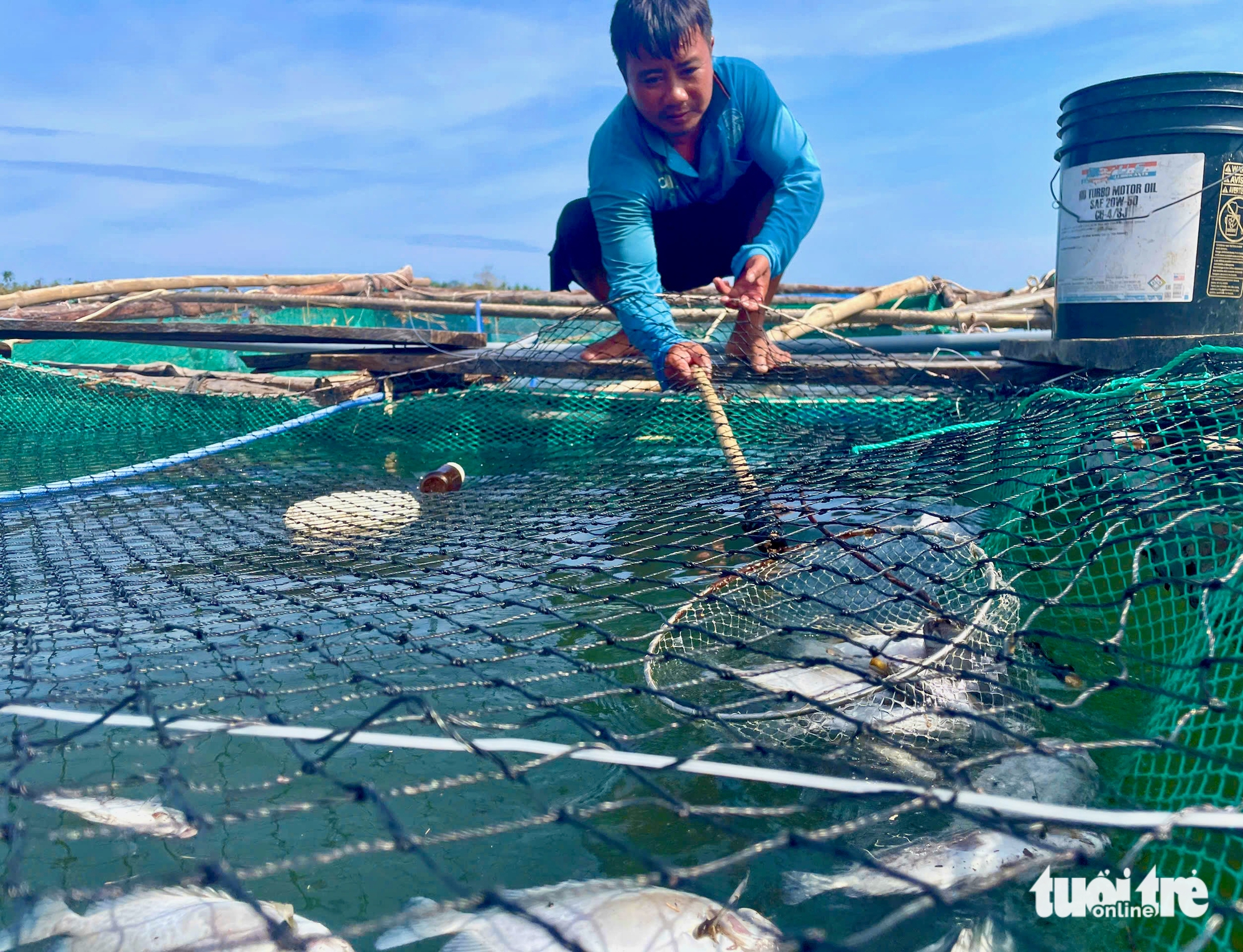养殖户含泪看着13号台风后池塘鱼群死亡