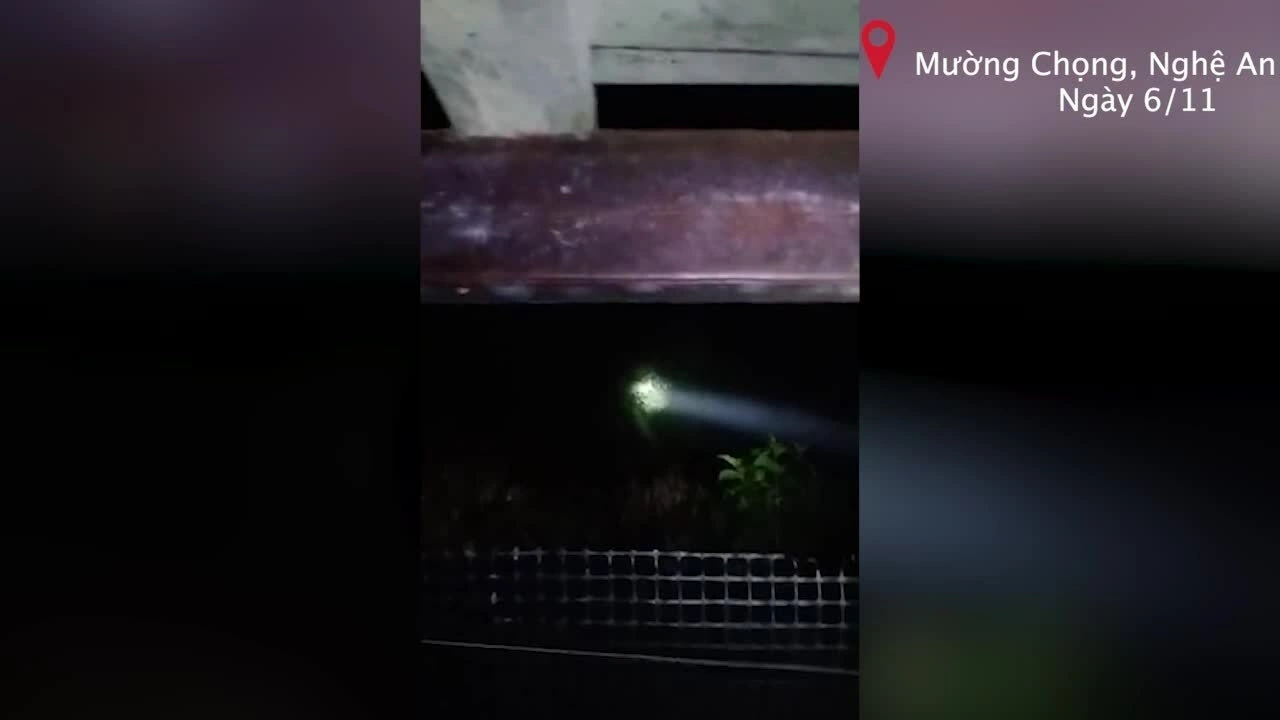 野象进入民宅寻找食物