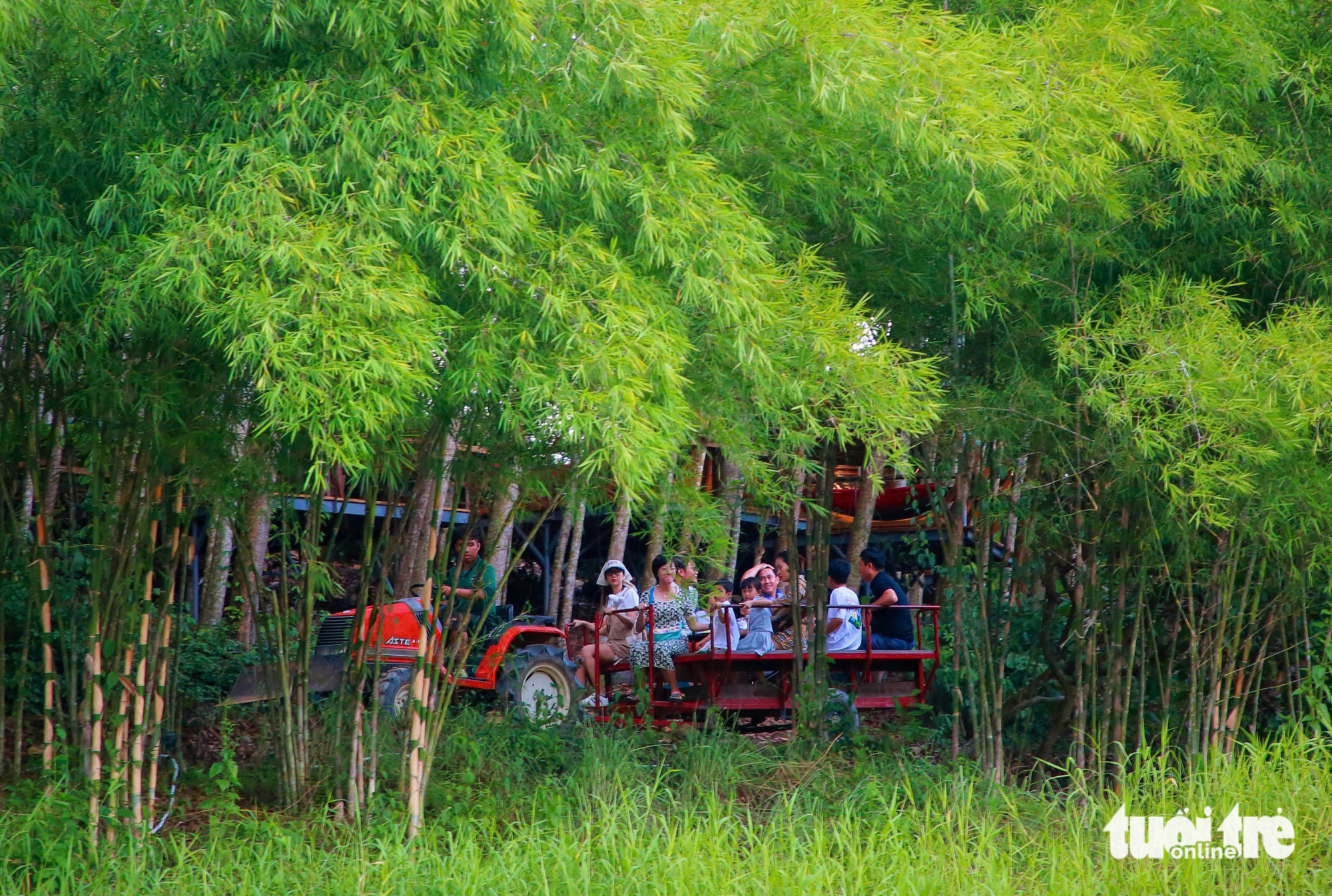 庆和省迈向全面绿色目的地：自然优势巨大，决心更大