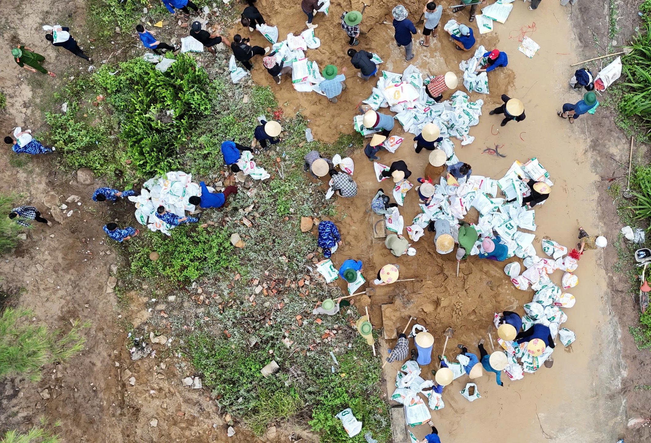 数百人被动员加固海岸以应对第五号台风