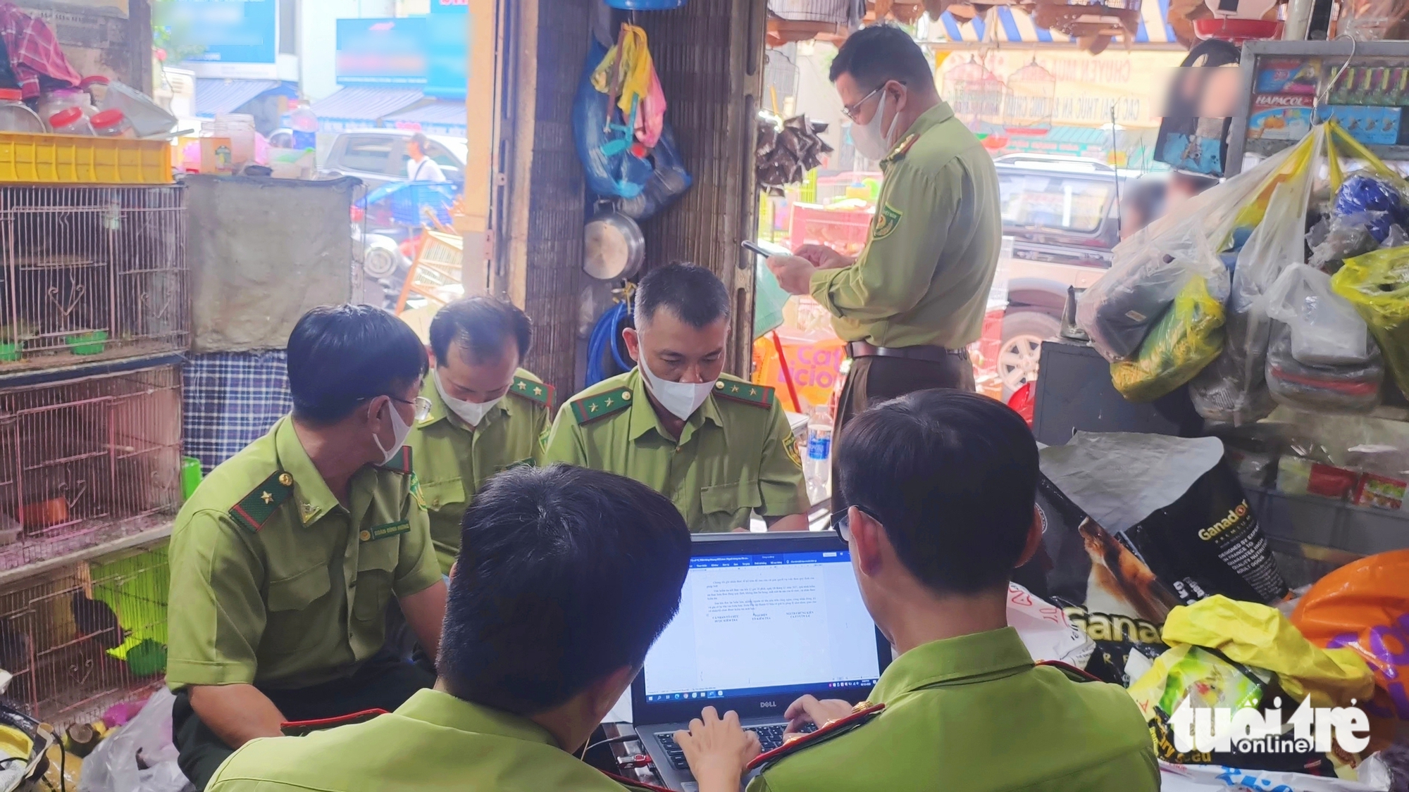 发现341只观赏鸟在商店中无合法记录